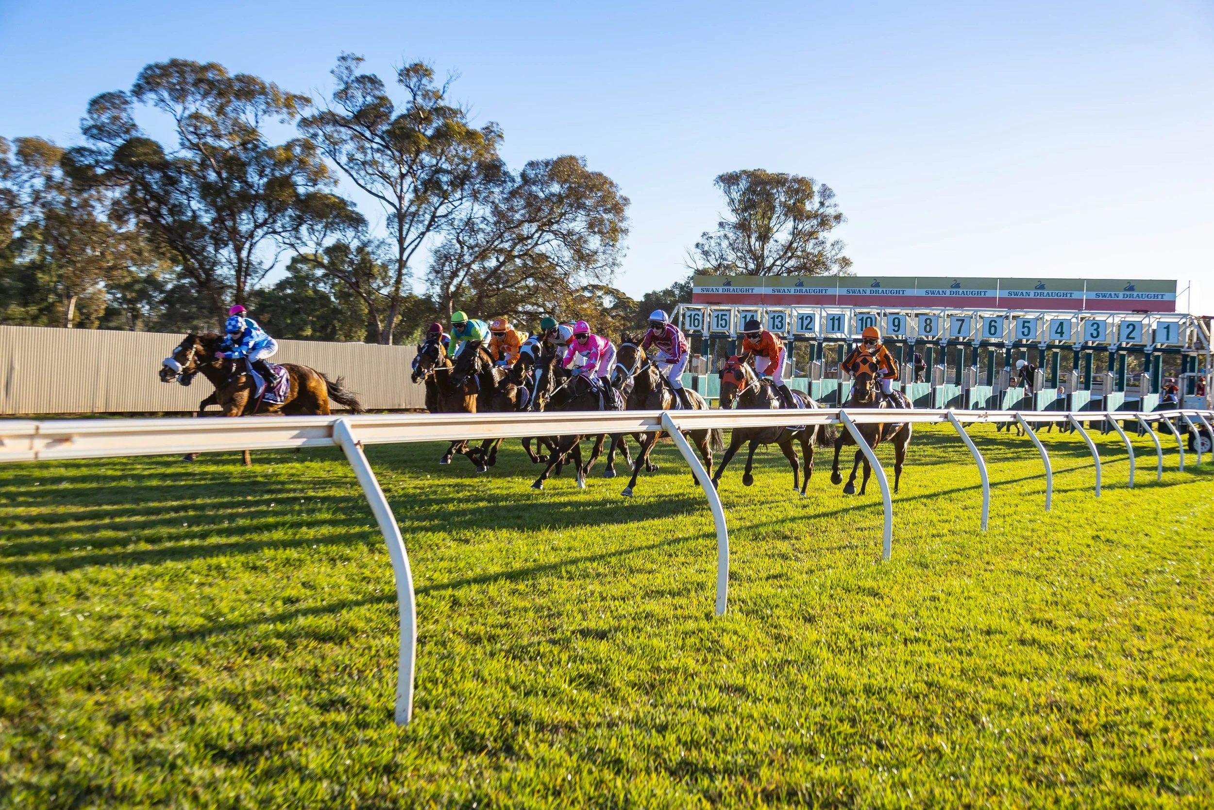 Kalgoorlie Cup Day 