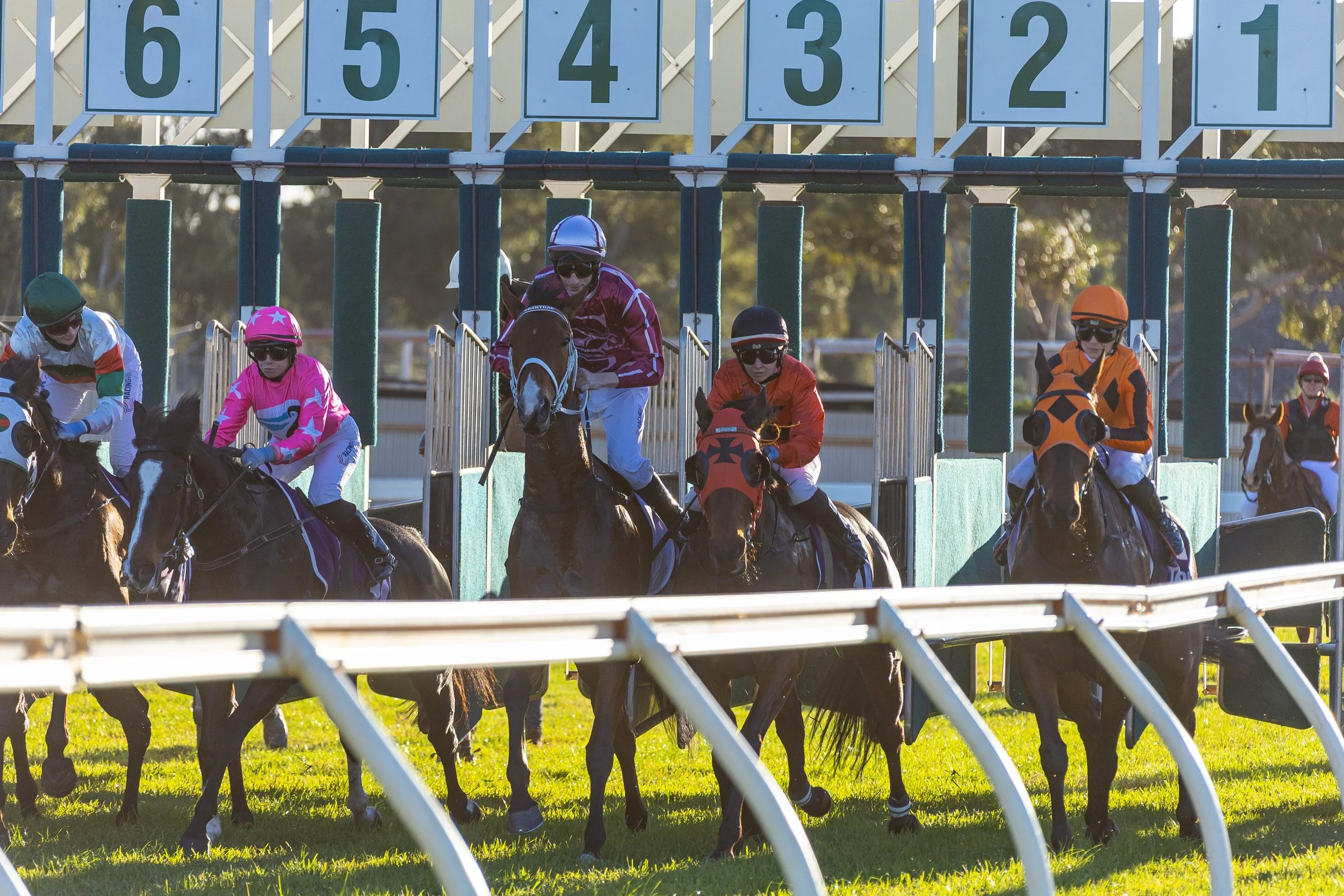 Terra Drilling Kambalda Cup  
