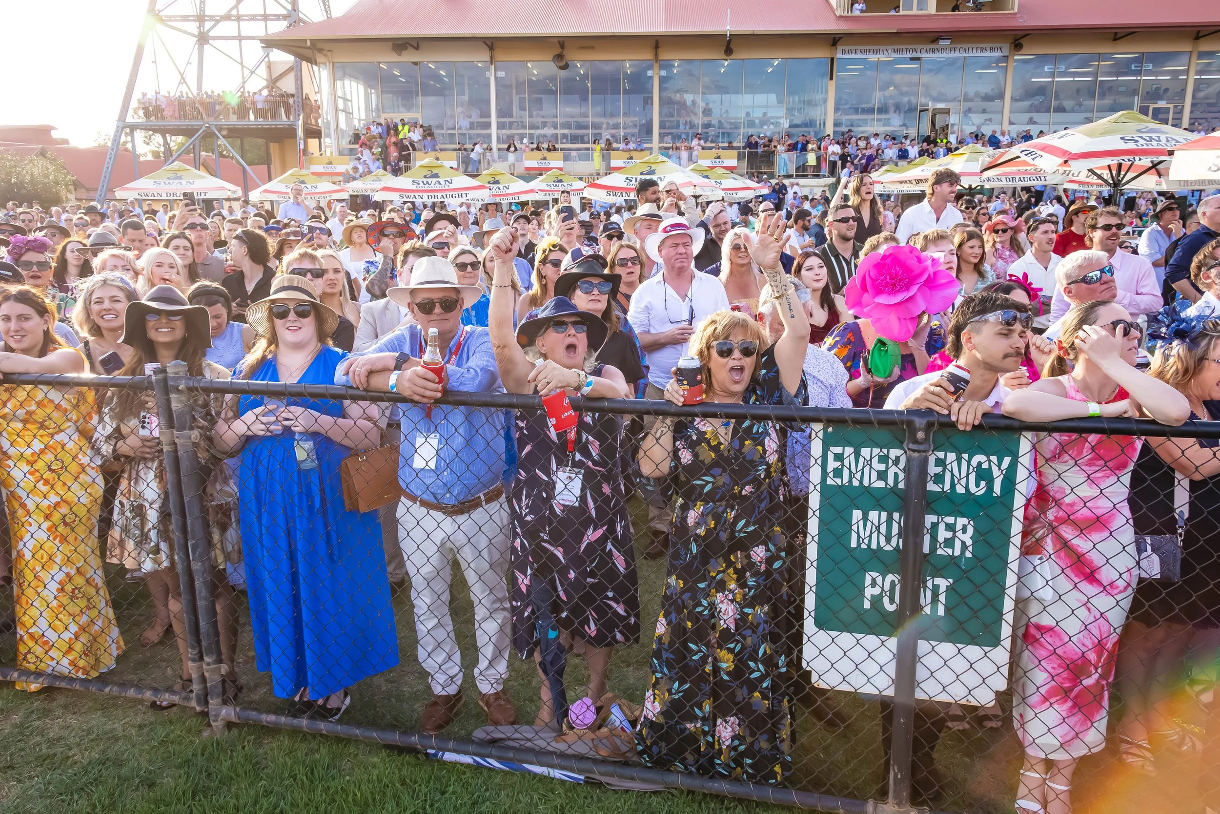 A jockey in purple and orange riding a brown racehorse with purple and white gear, competing in a horse race with other jockeys and horses nearby on a racetrack.