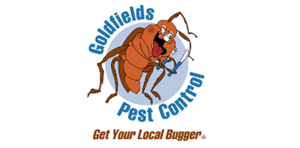Logo of Goldfields Pest Control featuring an animated termite holding a spray wand, with the slogan 'Get Your Local Bugger' beneath.