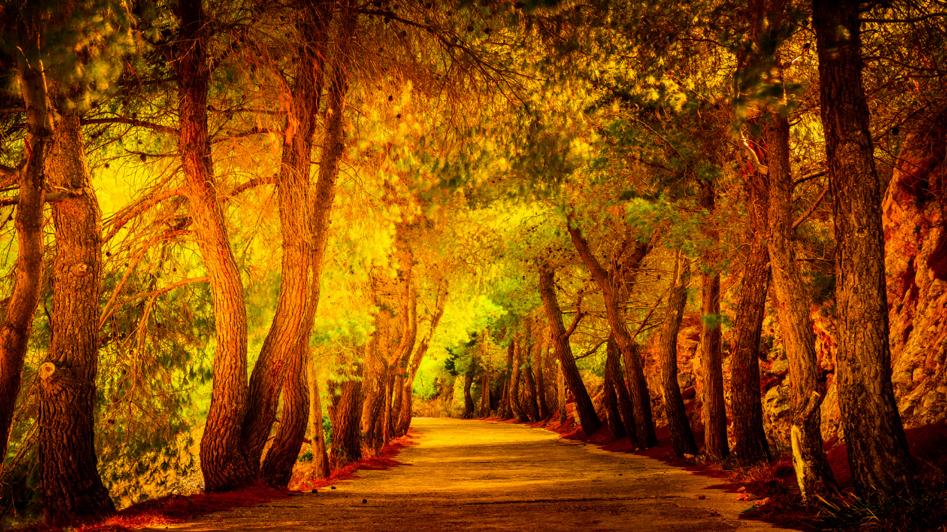 The Grounded Path - 3 Session Bundle