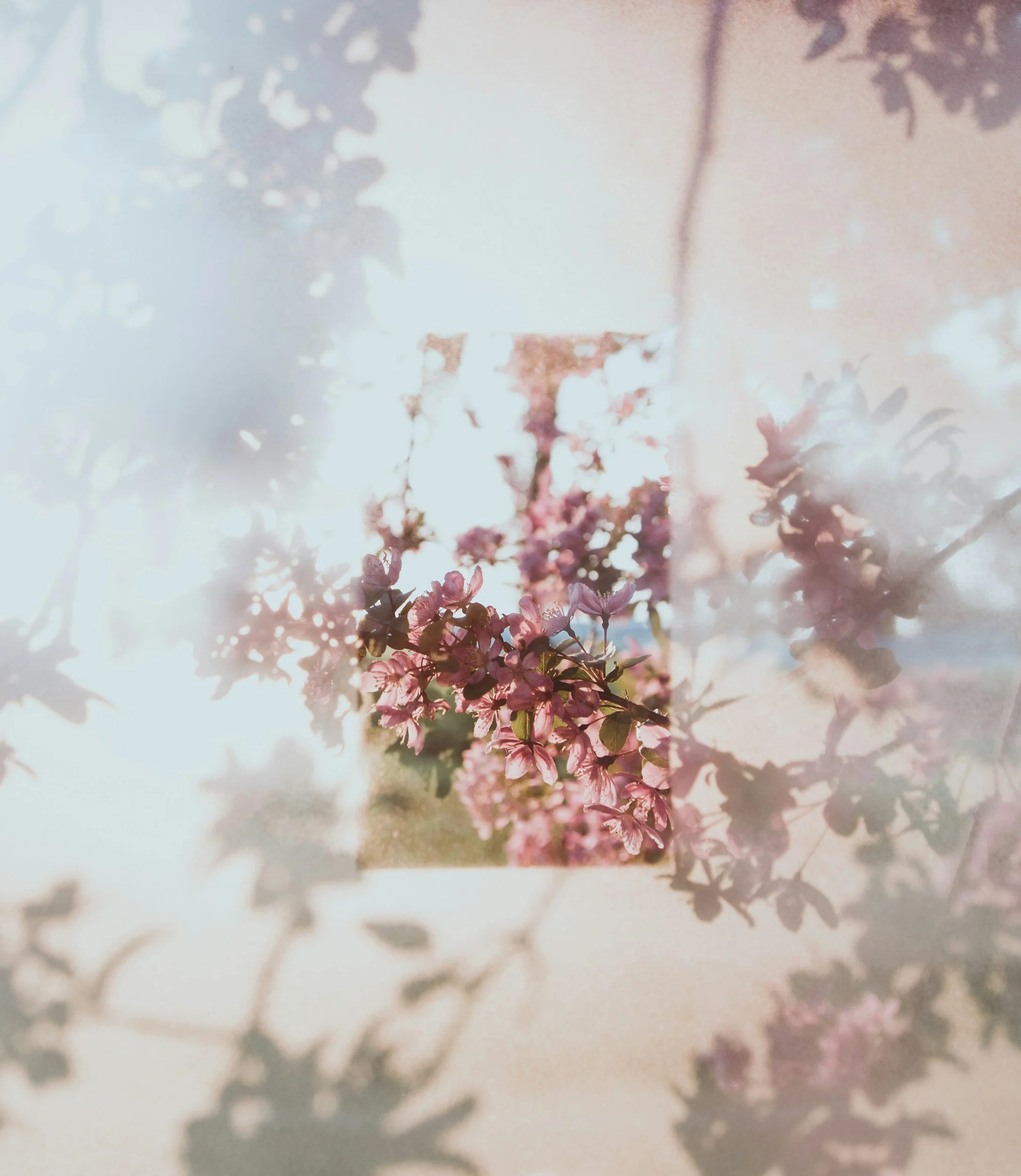 Soft Power – Why Korean Aesthetics Embrace Quiet Beauty, and How You Can Too