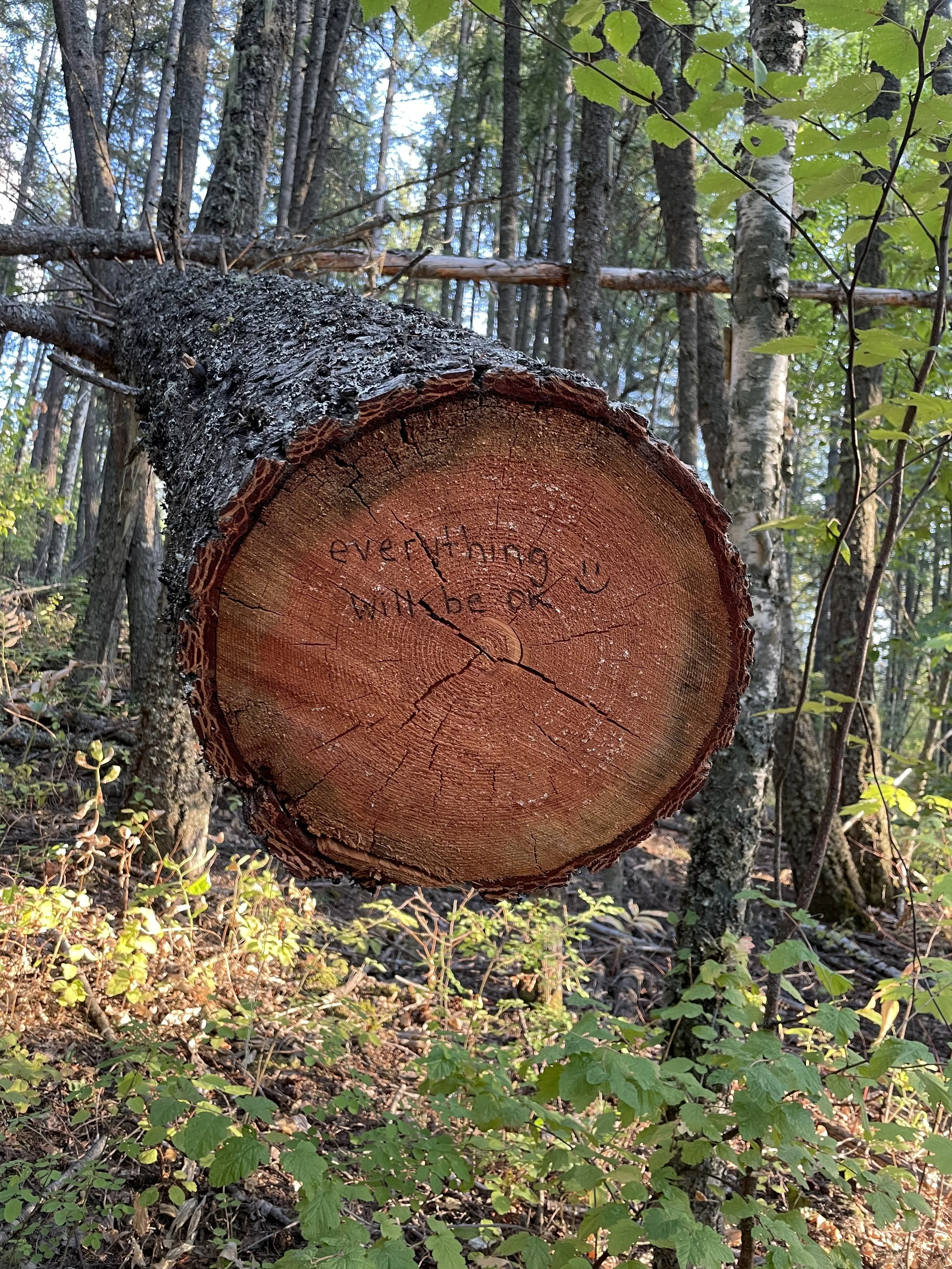 A cut tree trunk in a forest with the words "everything will be ok" and a smiley face carved on it.