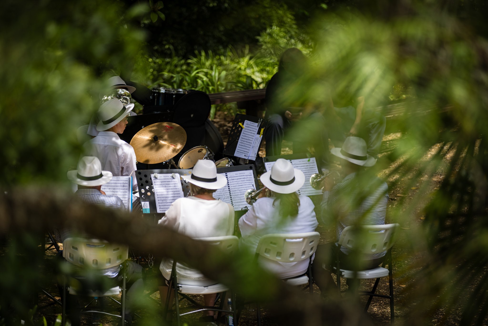 A group of musicians performing outdoors, wearing white shirts and white hats, seated with music stands in front of them, surrounded by lush green foliage.