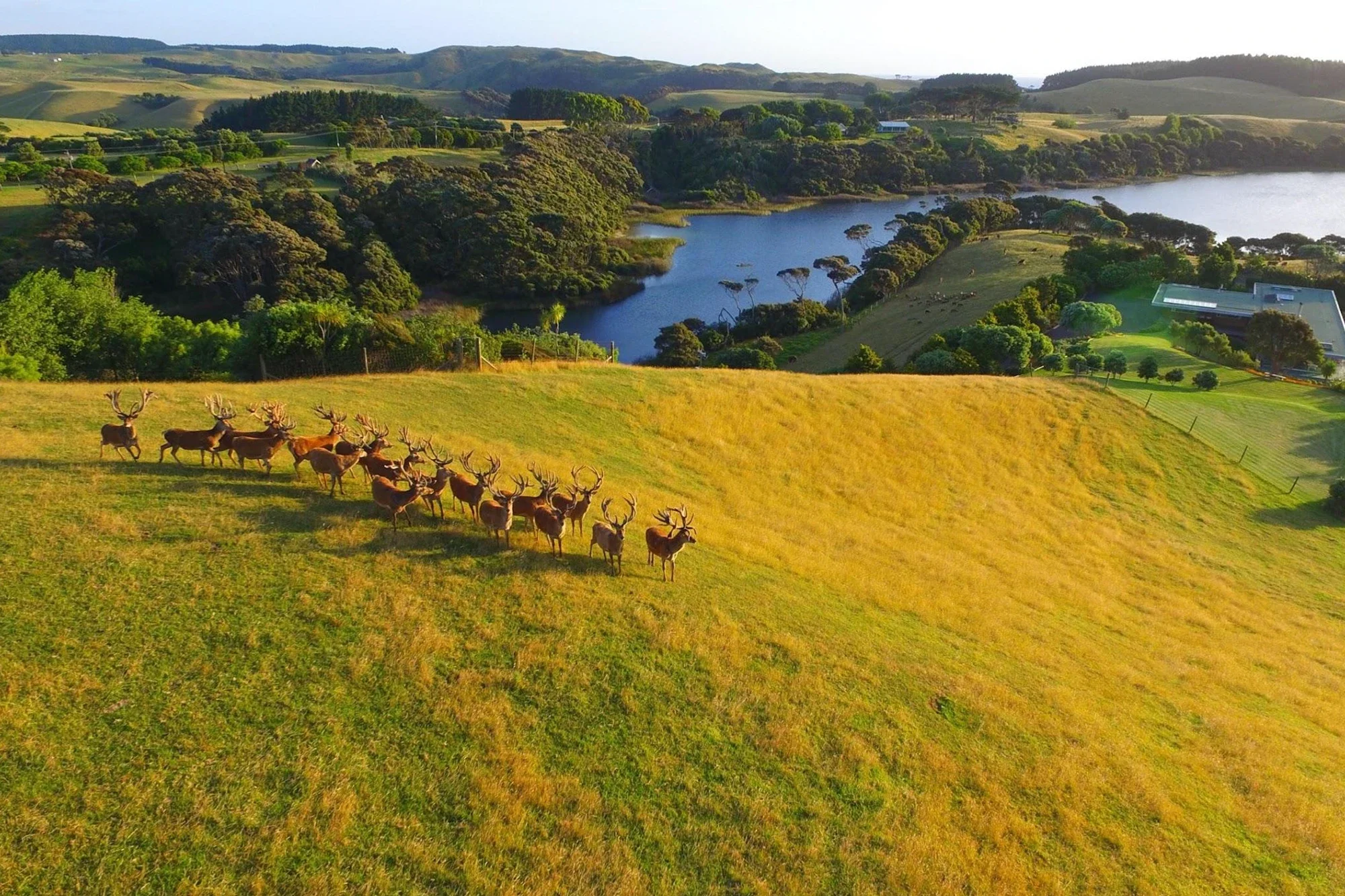 New Zealand Doesn’t Need to be Bigger. It Needs to be Clearer.