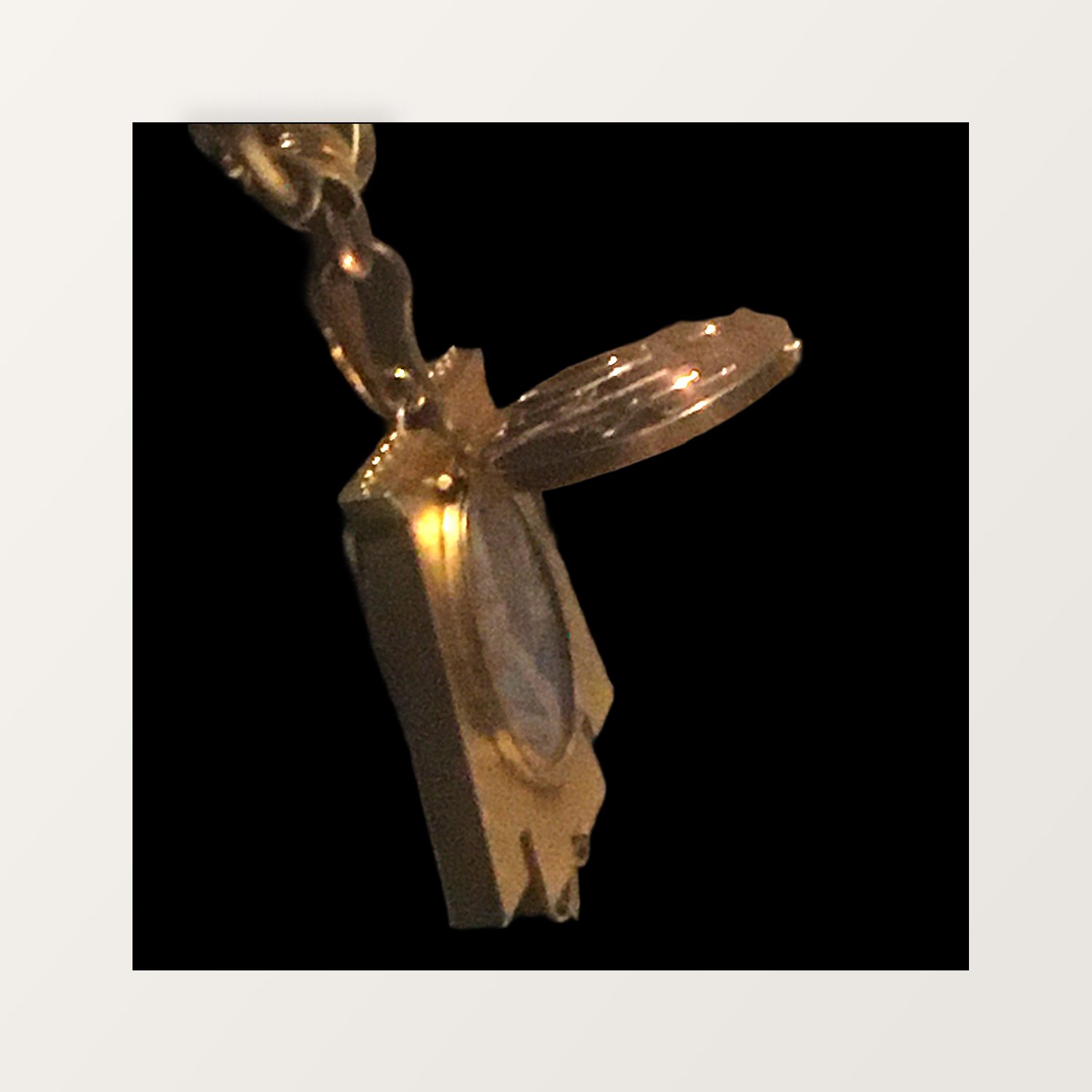 ROYAL FLEUR DE LYS SOLID GOLD NECKLACE WITH VICTORIAN MOURNING LOCKET