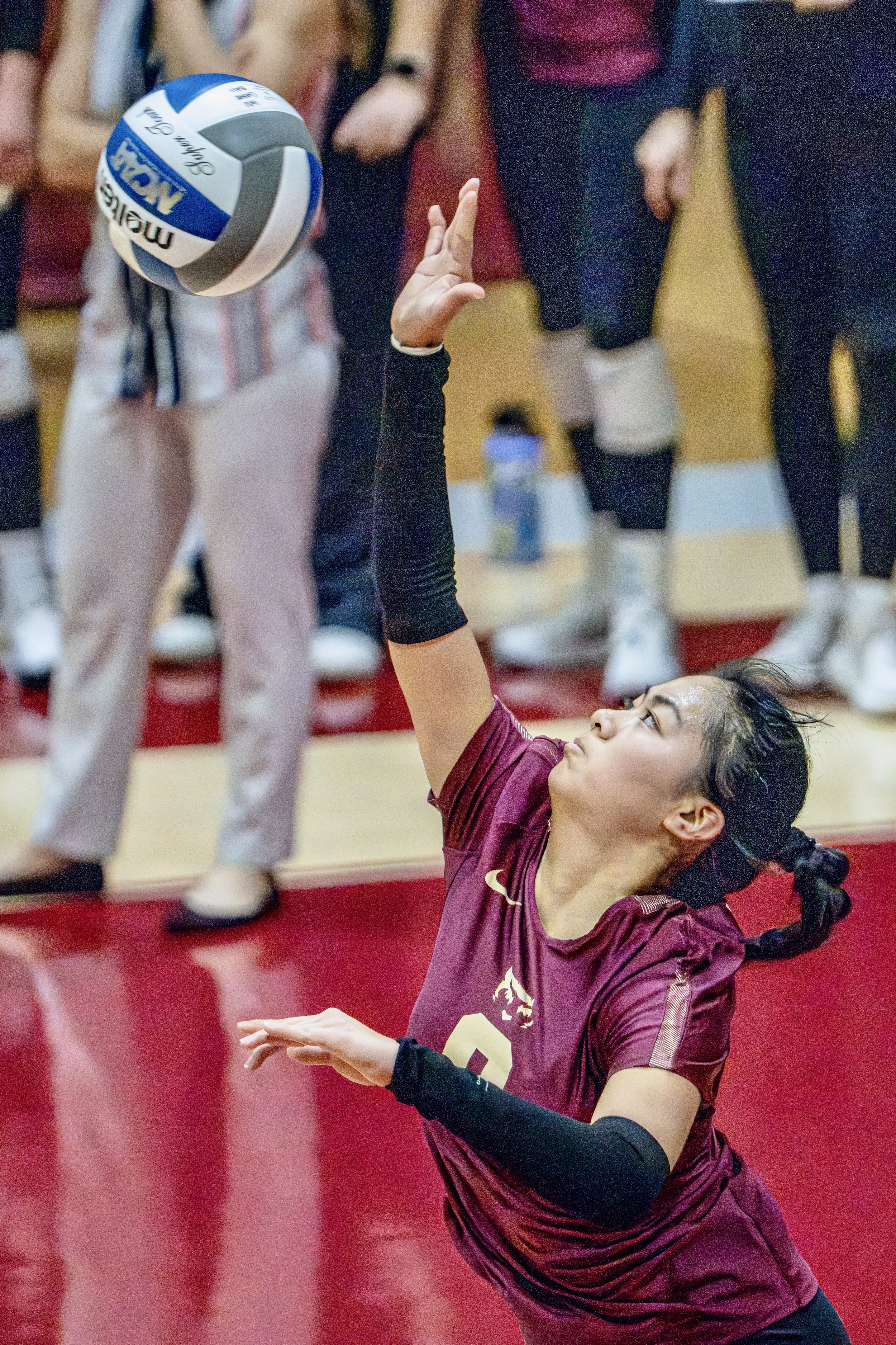 20241105 - VB  - Pacific - 013.jpeg