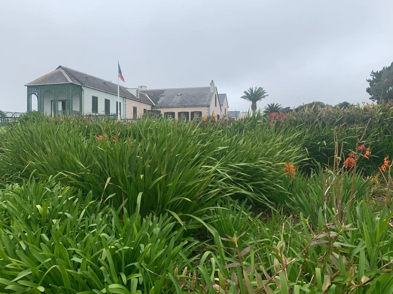 WhatsApp Image 2025-09-07 at 21.25.25 (4).jpeg