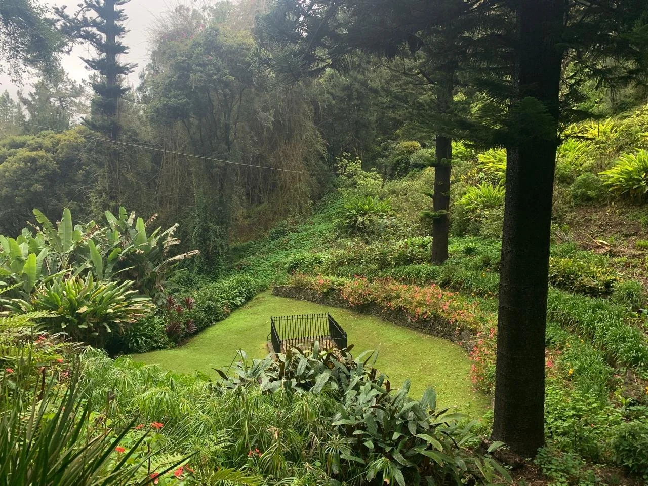 Grave situated in lush surroundings
