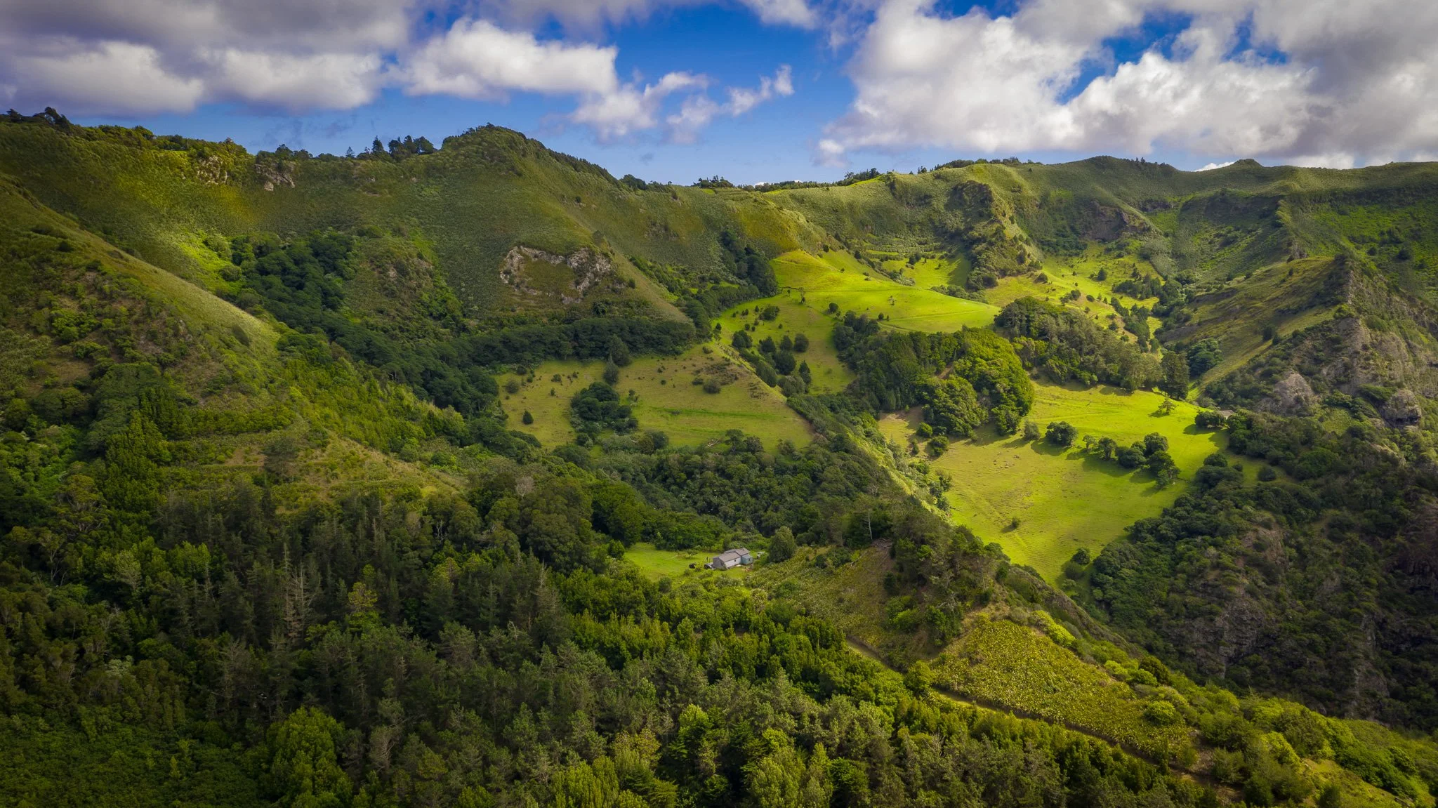 DJI_0278.jpg