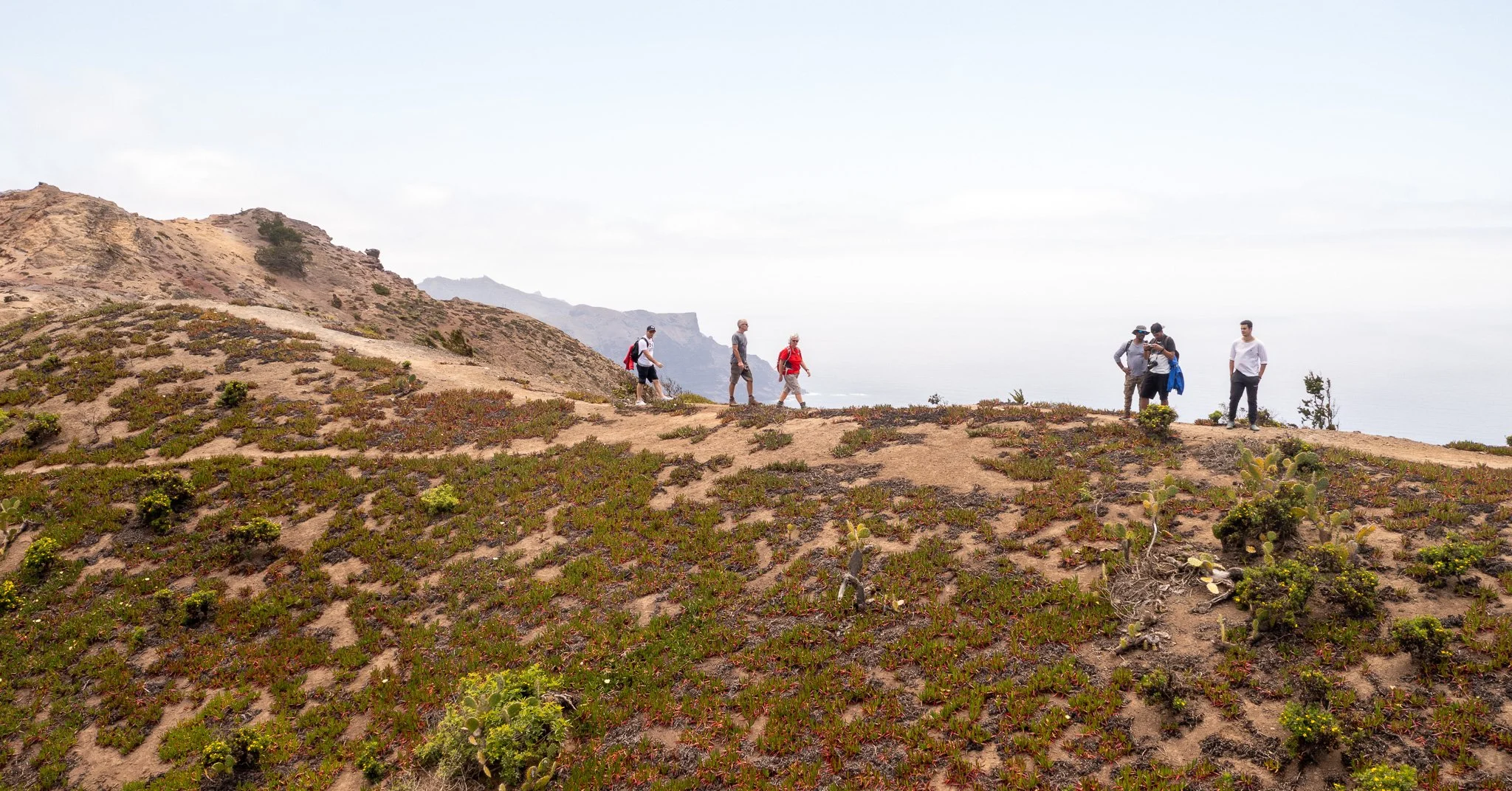 DJI_0165.jpg
