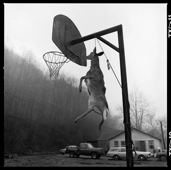    Susan Lipper      American photographer, based in New York City.     Interview with Jordan Weitzman        