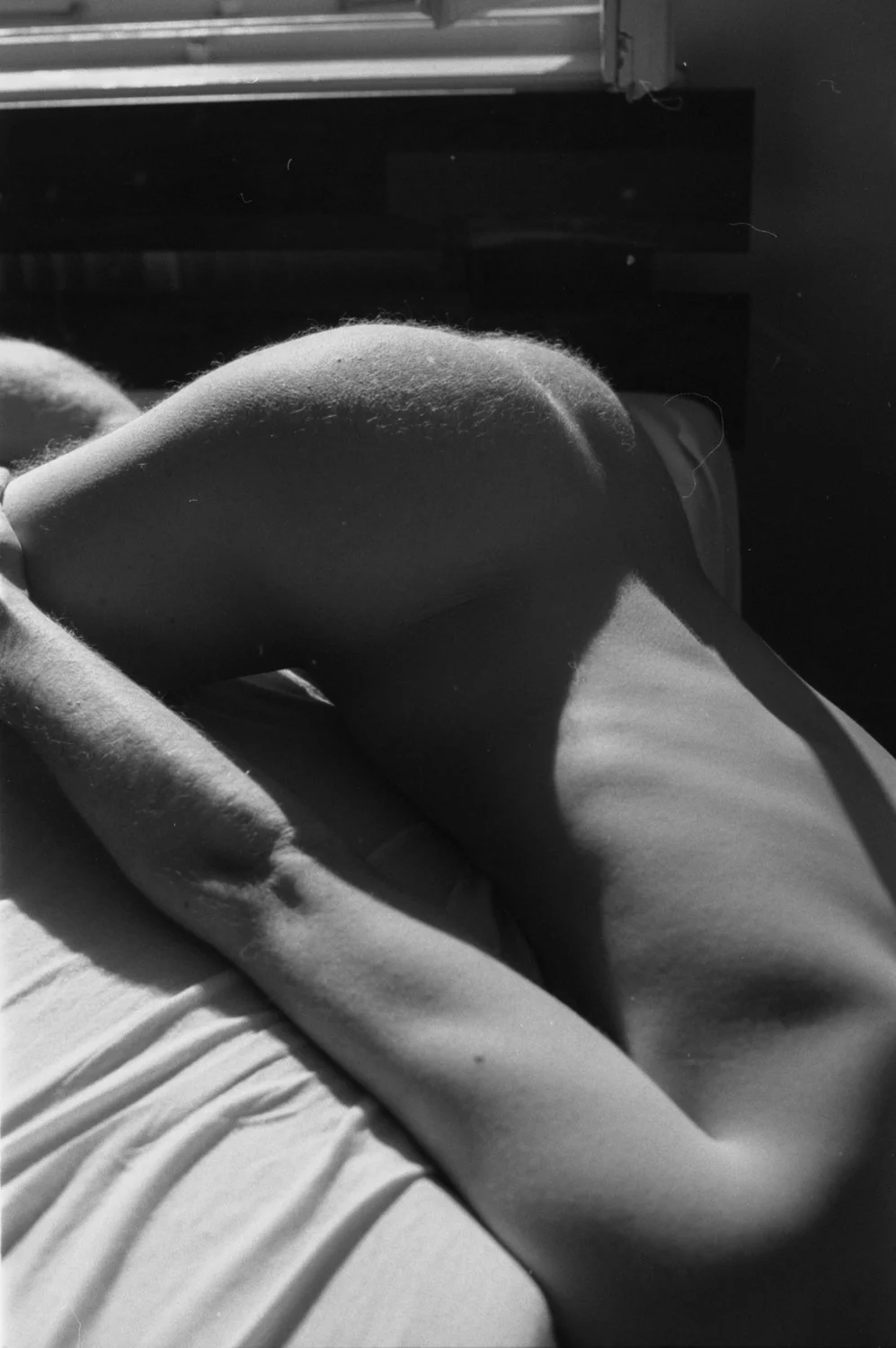 26JR5A1.n079.jpg