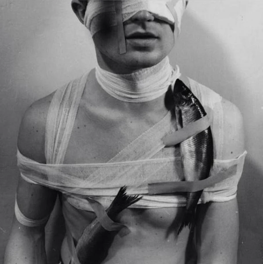    Vienna Actionism   
 Naked bodies, violence, and destructive art. The term Viennese Actionism refers to a radical and explicit form of performance art that developed in the Austrian capital during the 1960s. Mainly consisting of four members which