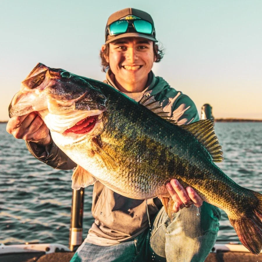 channels4_profile (1).jpg