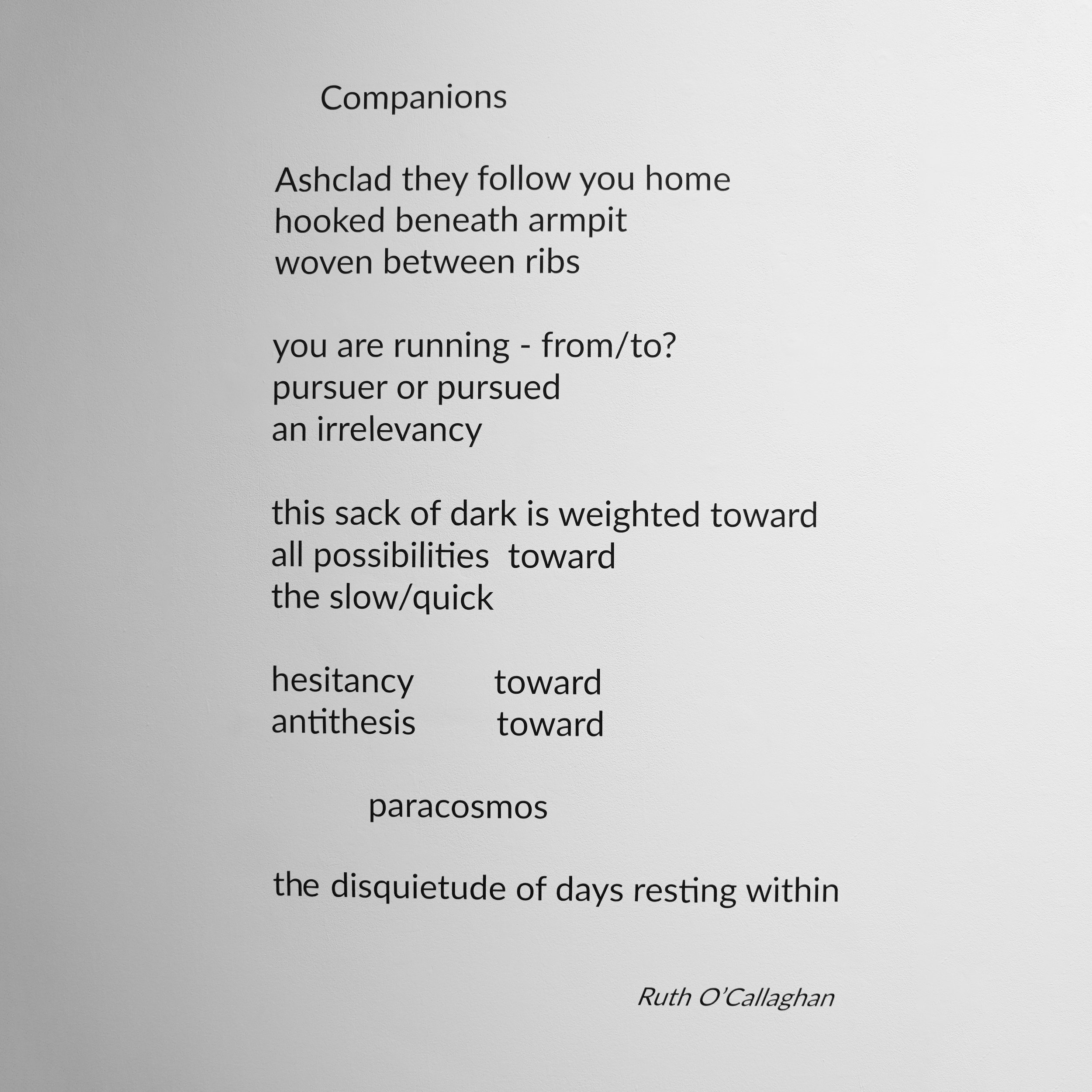 Companions - 1 D5.jpg