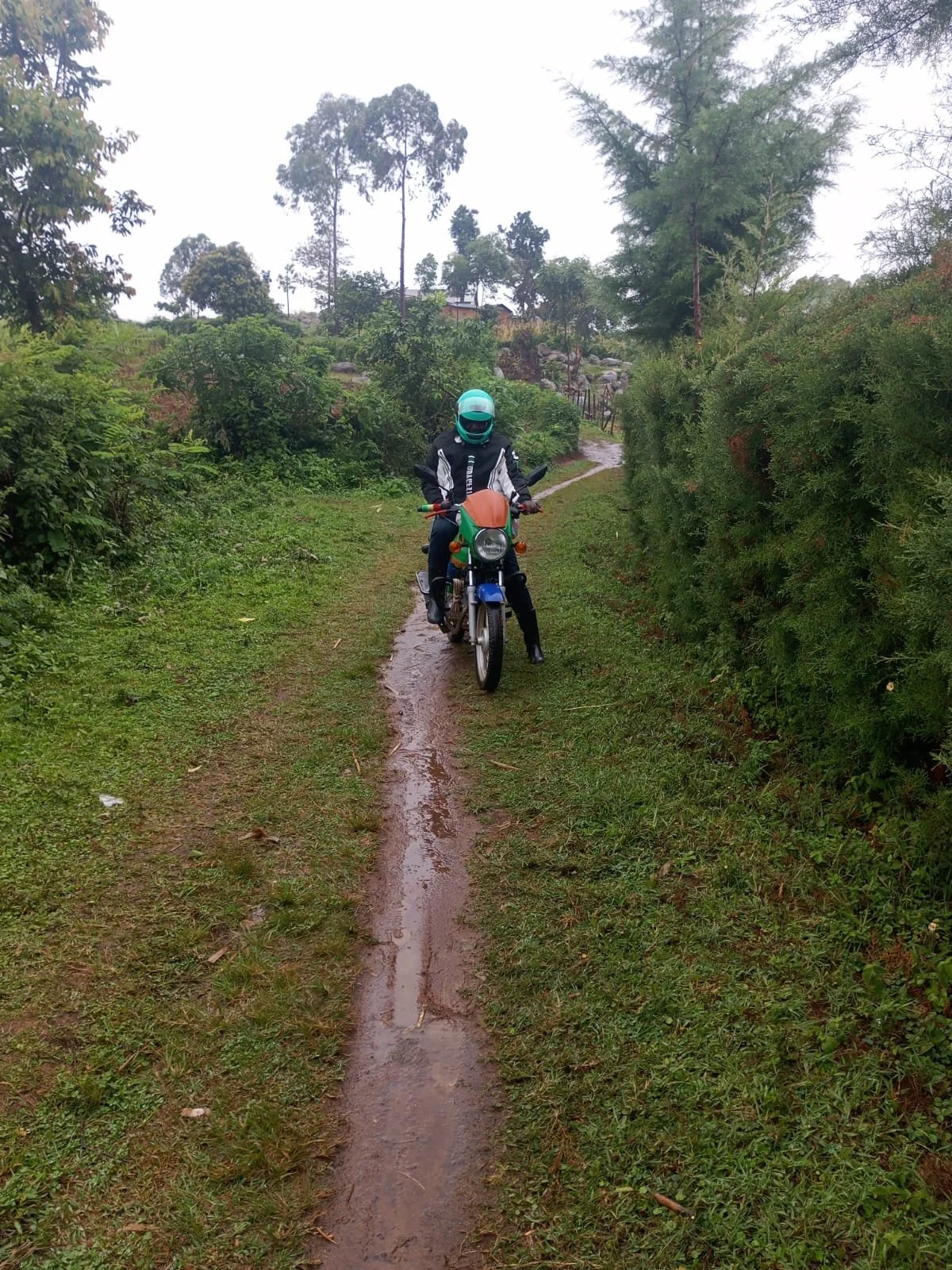 WhatsApp Image 2025-08-16 at 05.39.07.jpeg