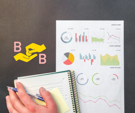 Starter: Ideal for sole proprietors and small companies with up to 10 employees.