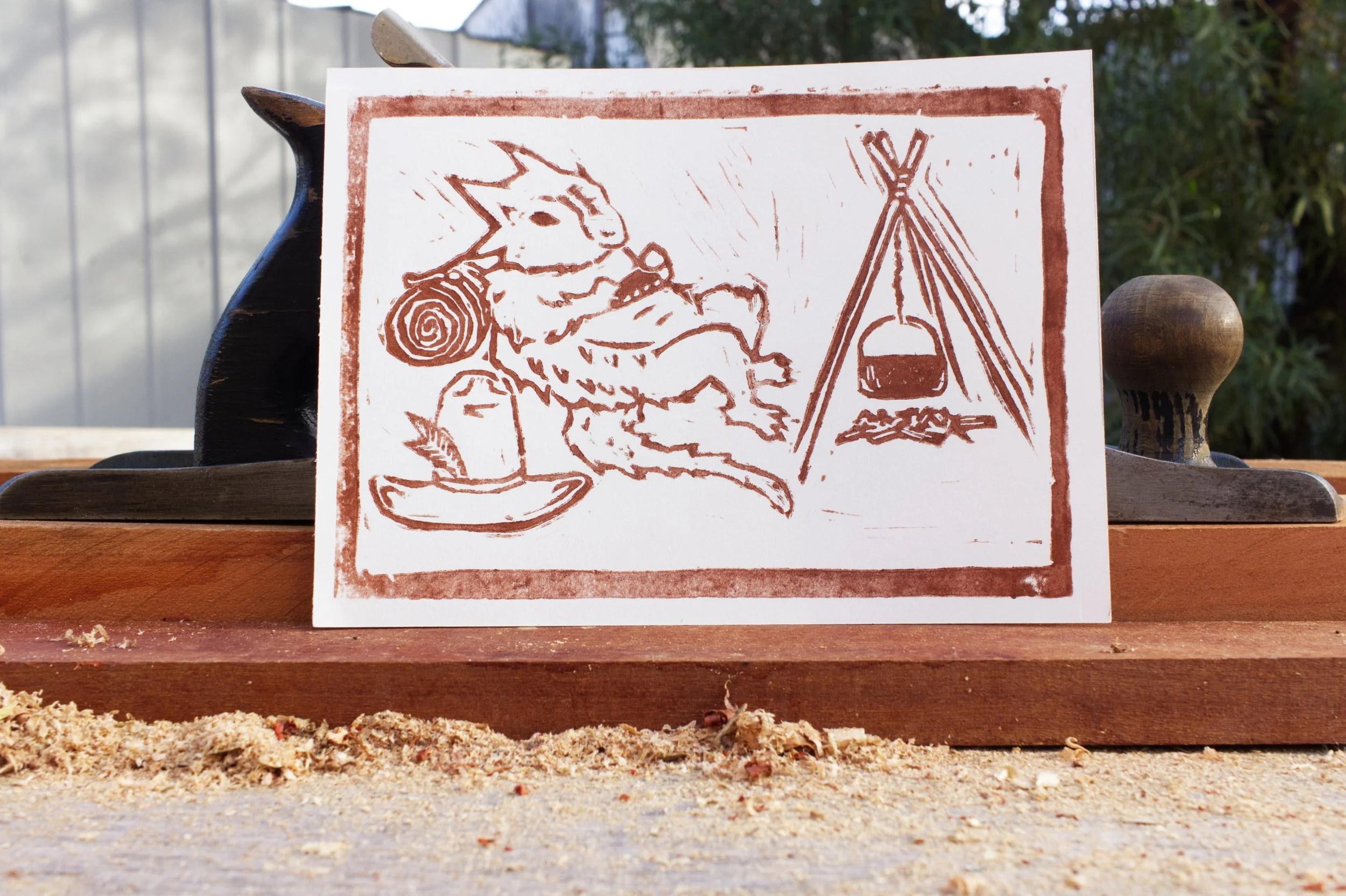 Sleeping Under Southwestern Skies