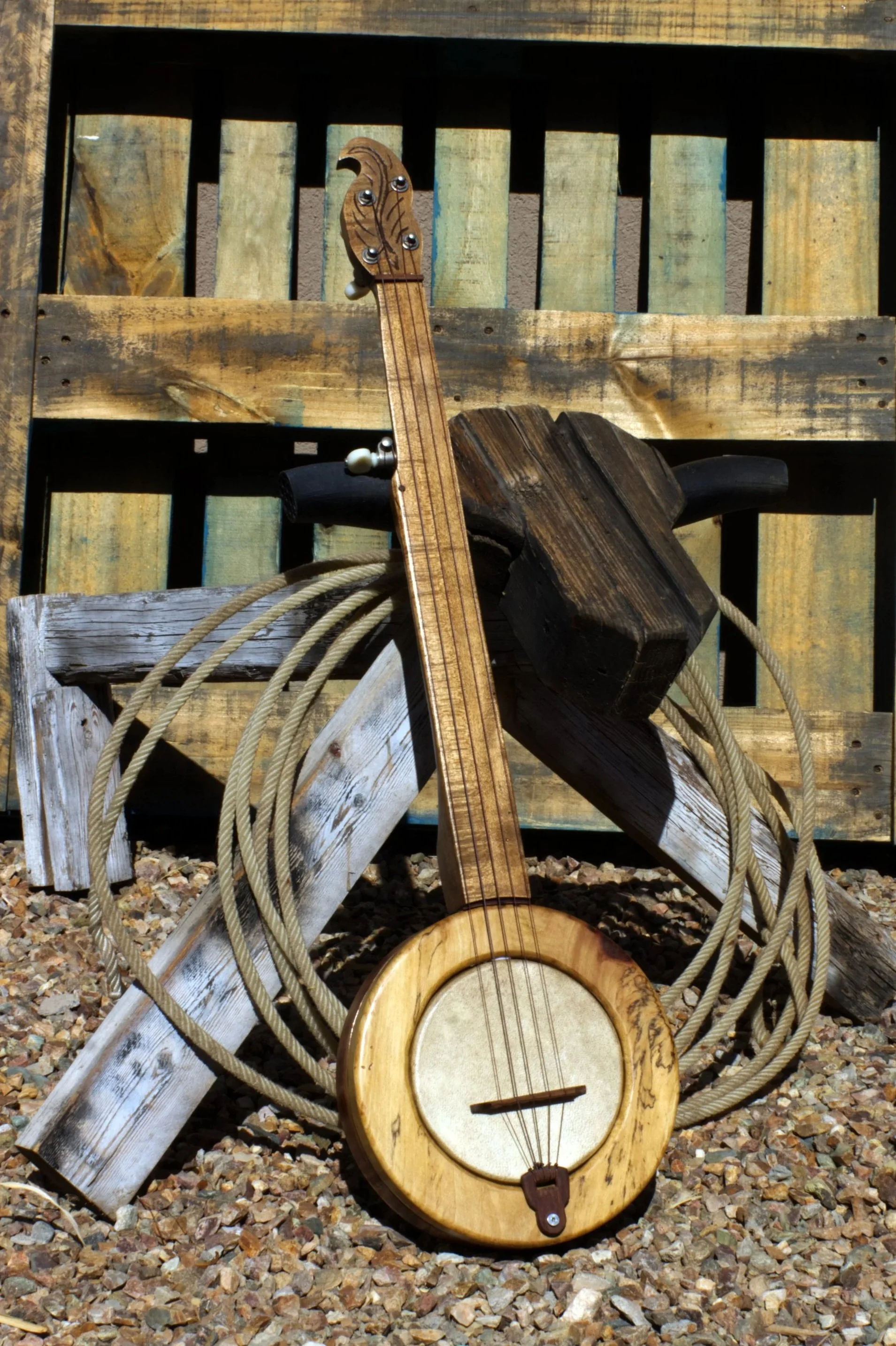 Forager Banjo