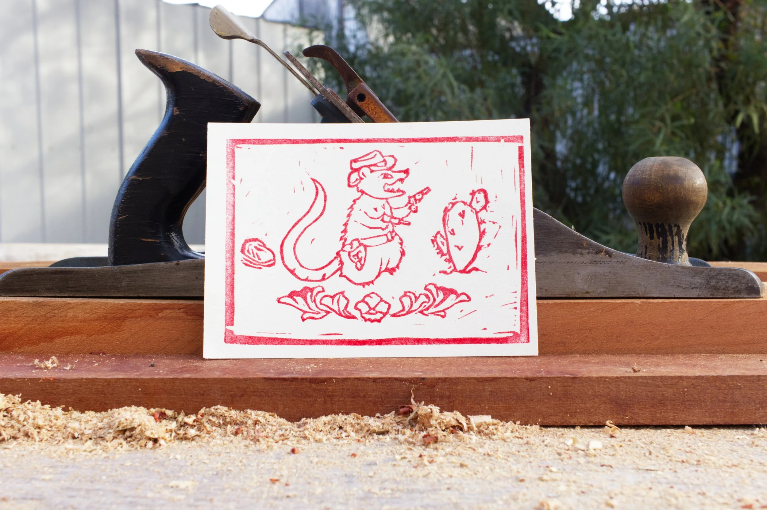 No More Playing Possum