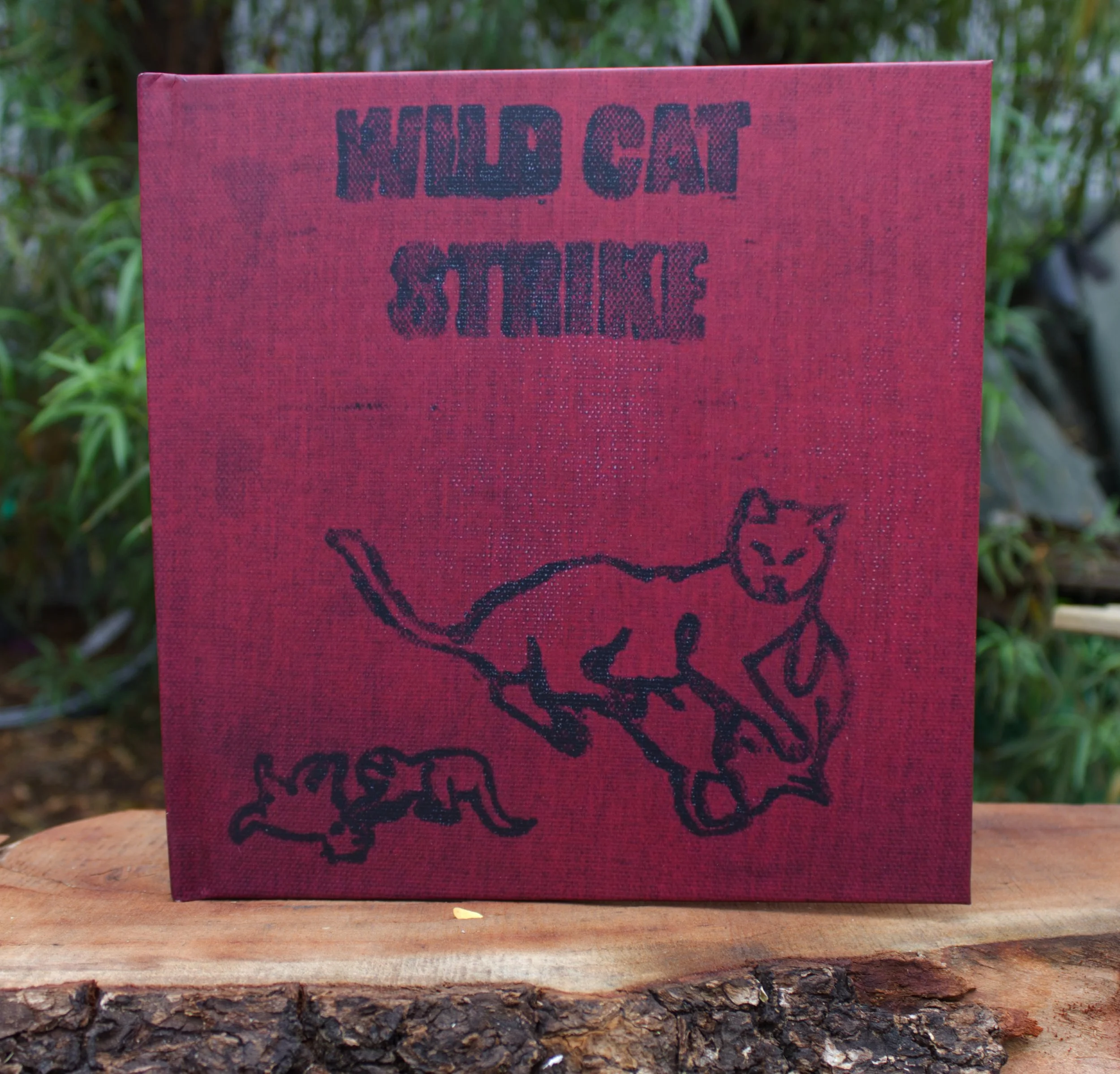 Wild Cat Strike - Hardback