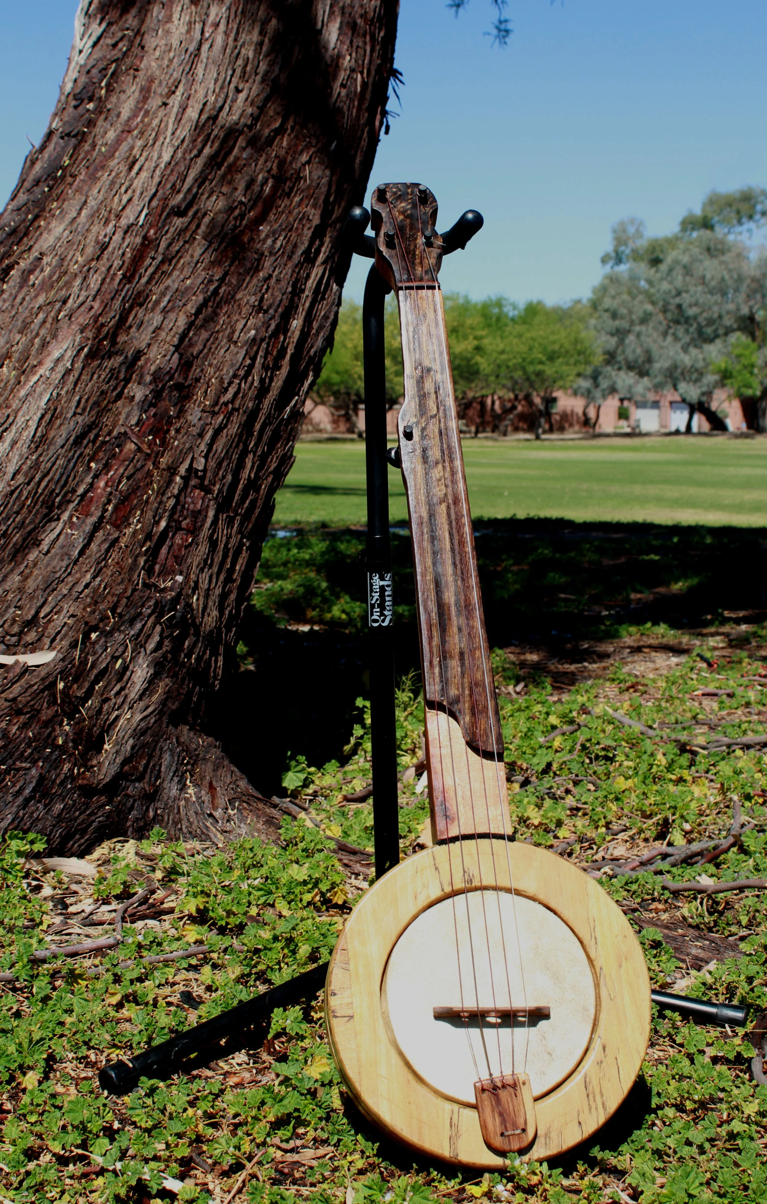 Eucalyptus Travel Banjo