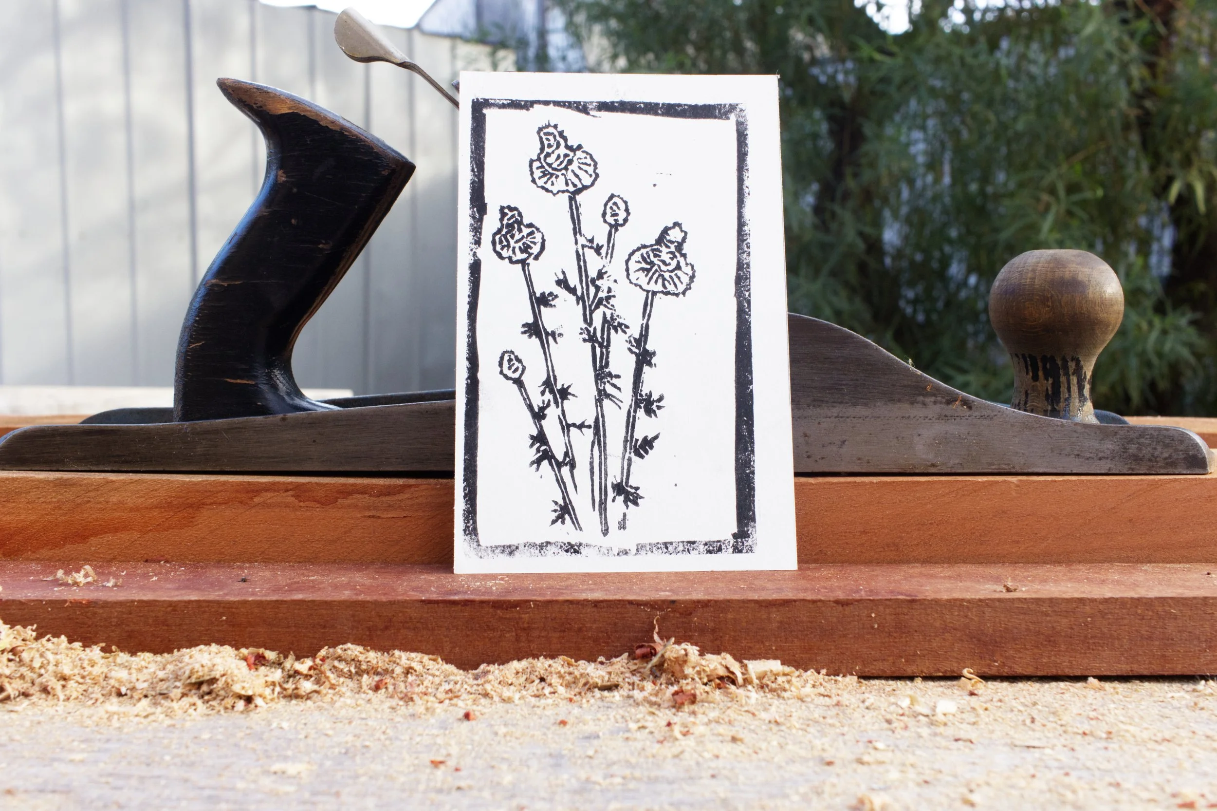 Prairie Clover Print