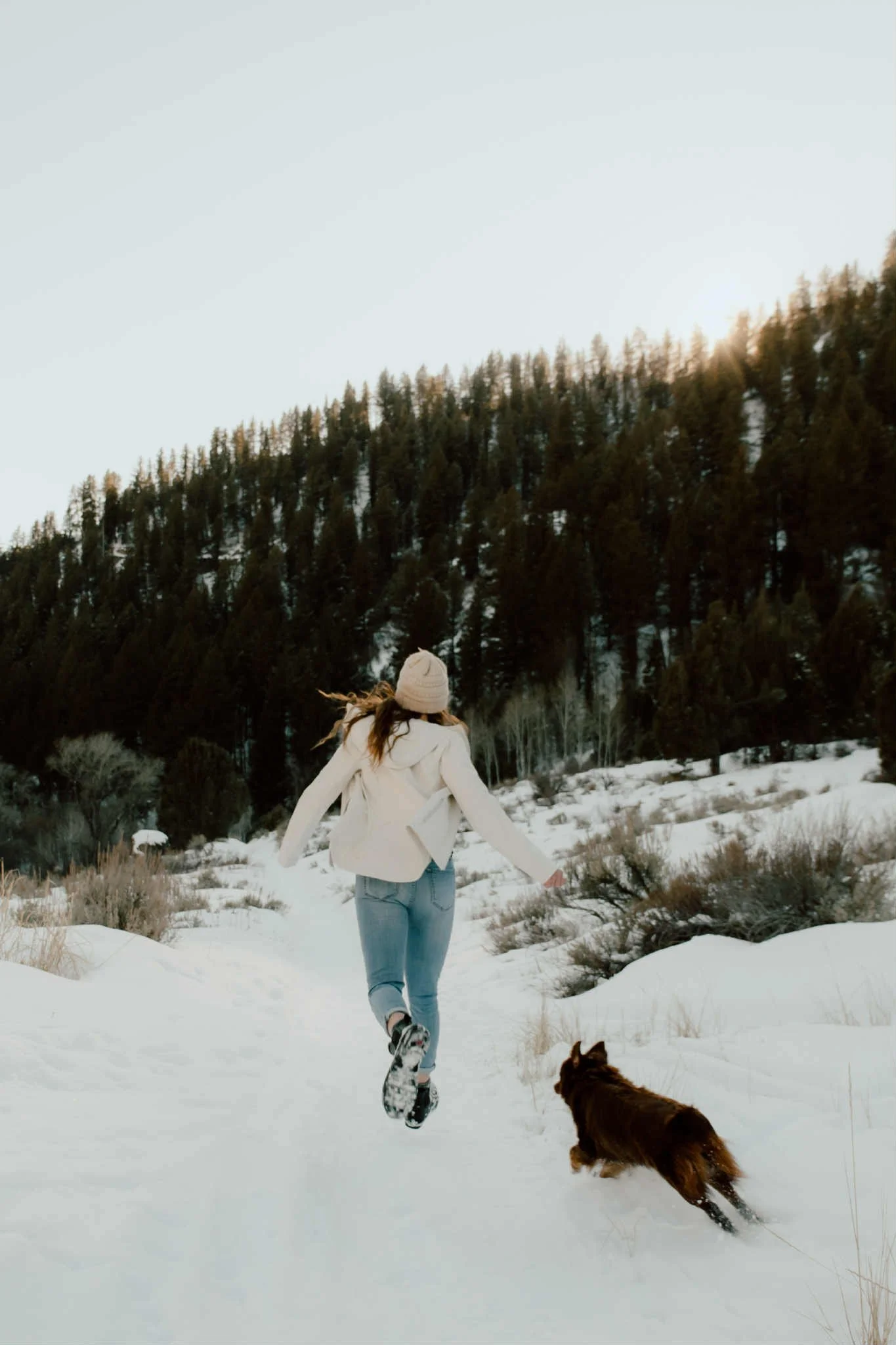 A woman with long hair, wearing a white jacket, pink beanie, and jeans, running with a brown dog on a snowy trail in a forest with tall evergreen trees.