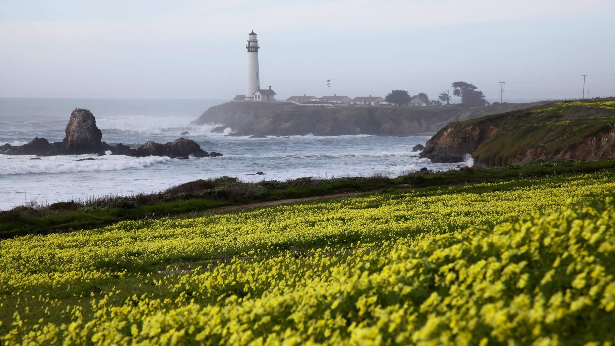 Pigeon Point Lighthouse in November, 2016.