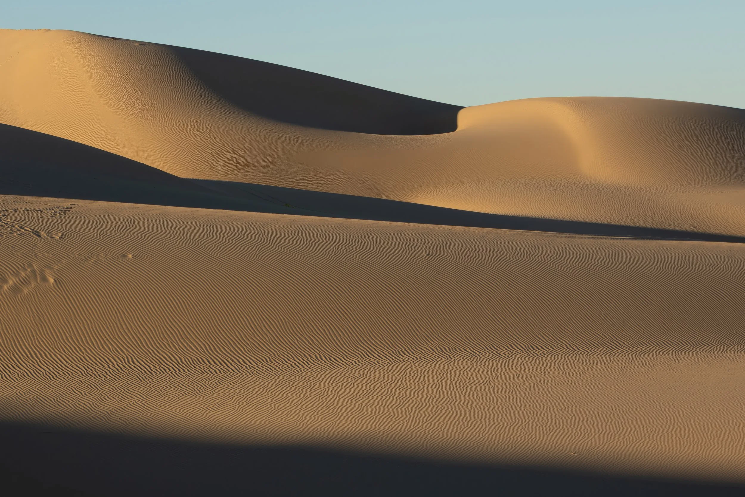 _97A3051-2-bg.jpeg