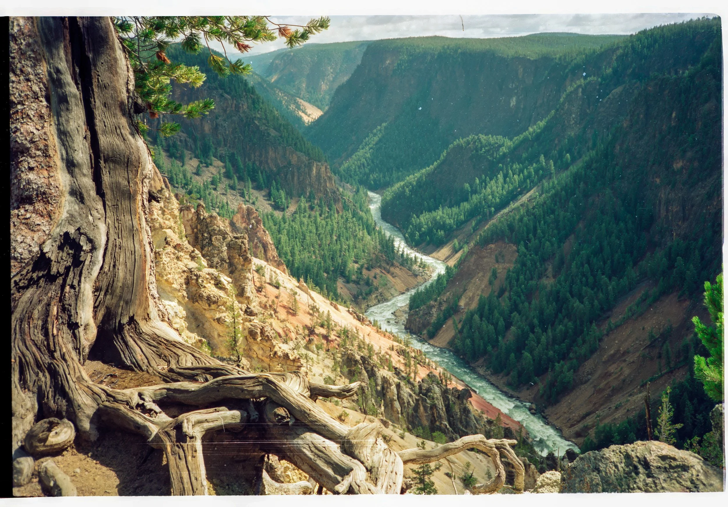 075. Grand Canyon Of The Yellowstone From Inspiration Point.jpg