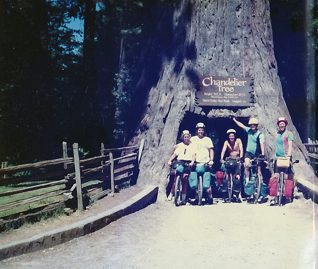 The Leggett Chandelier tree with Steve, Fred and Don (click image for geotag).