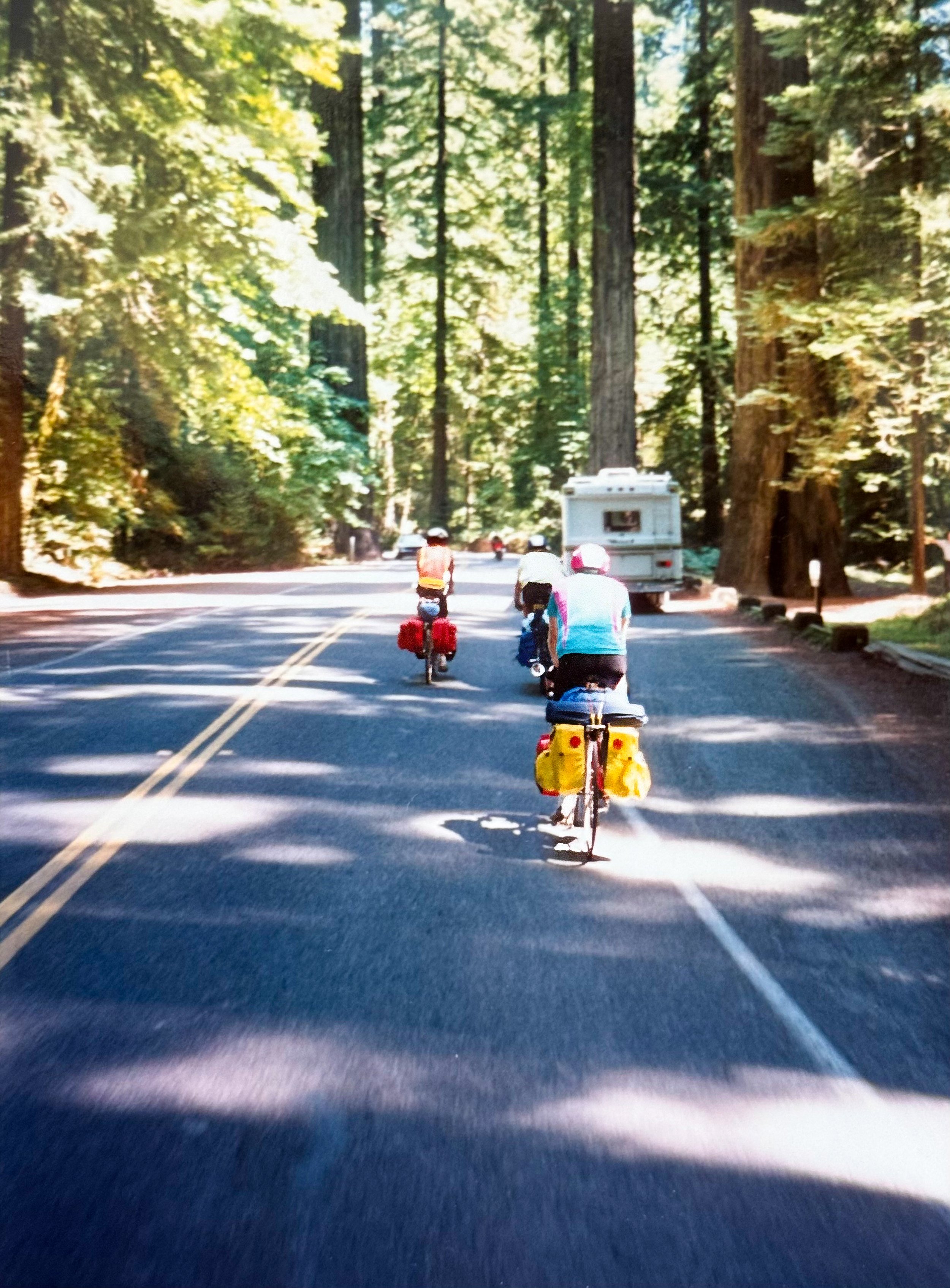 Easy riding along the Avenue of the Giants