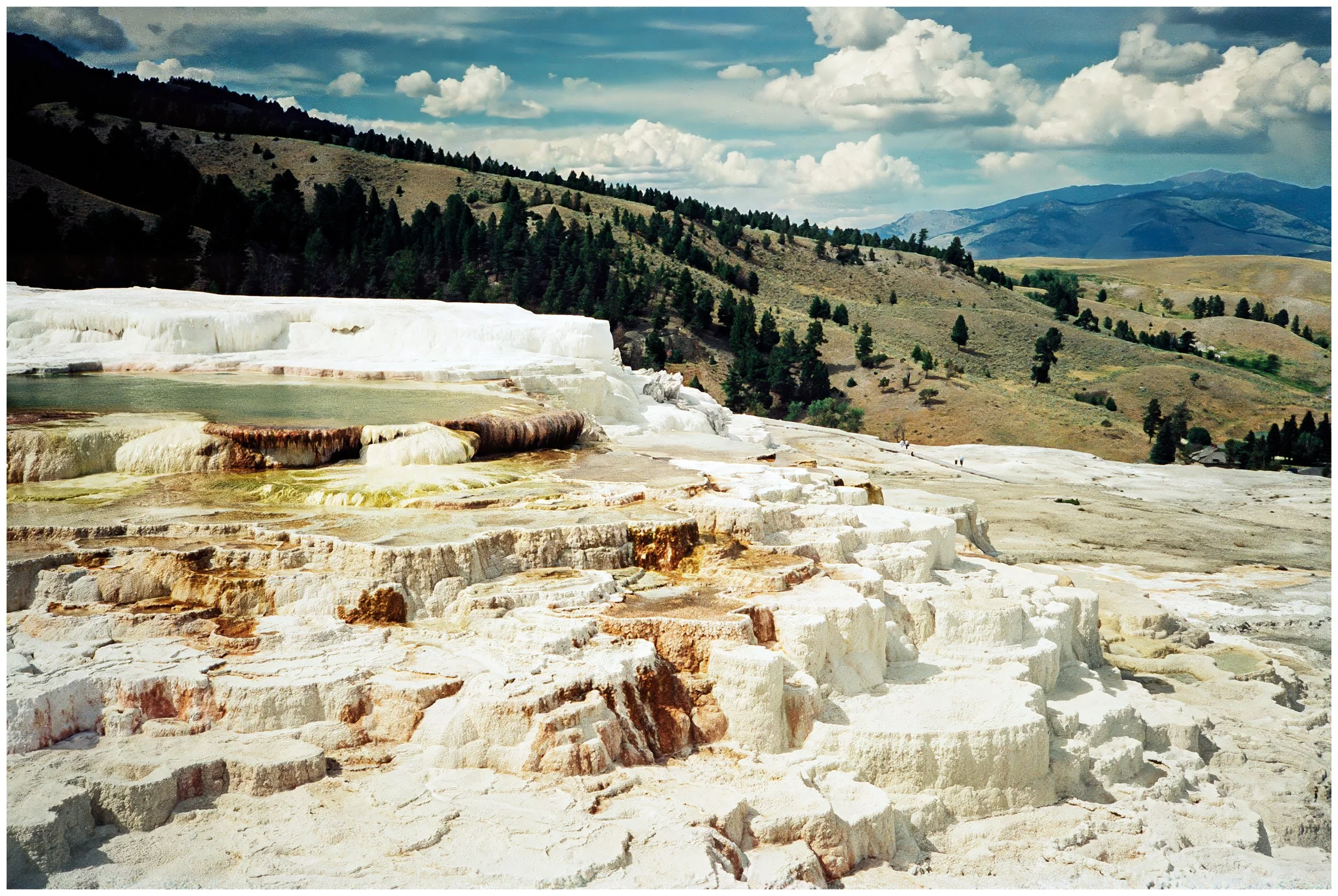 062. Minerva Terrace from Mammoth Terraces.jpg