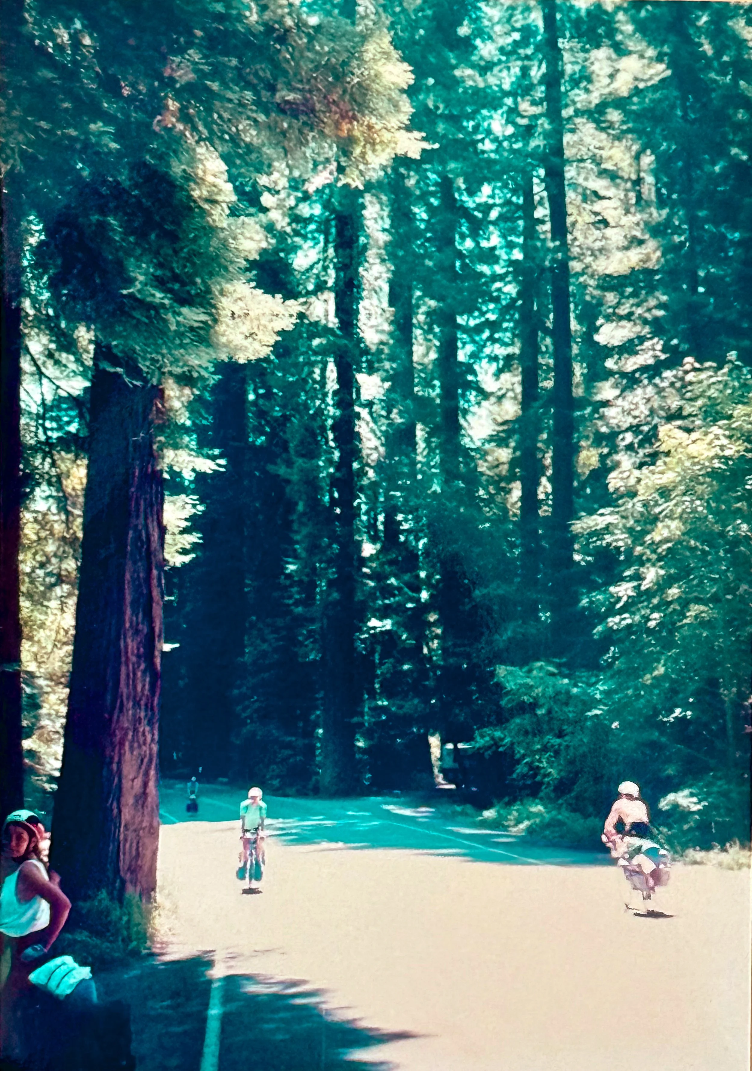 Ready for a swim as we near Burlington Campground in triple-digit temperatures. Avenue of the Giants