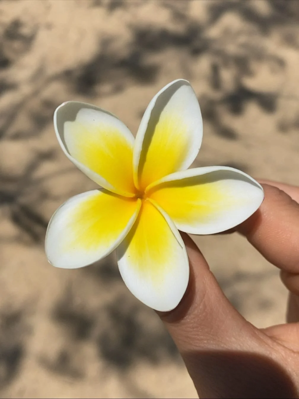 Australia will always have a piece of my heart 💚💛