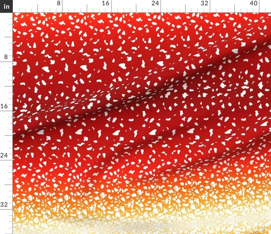 Mushroom (Amanita muscaria) Top Texture