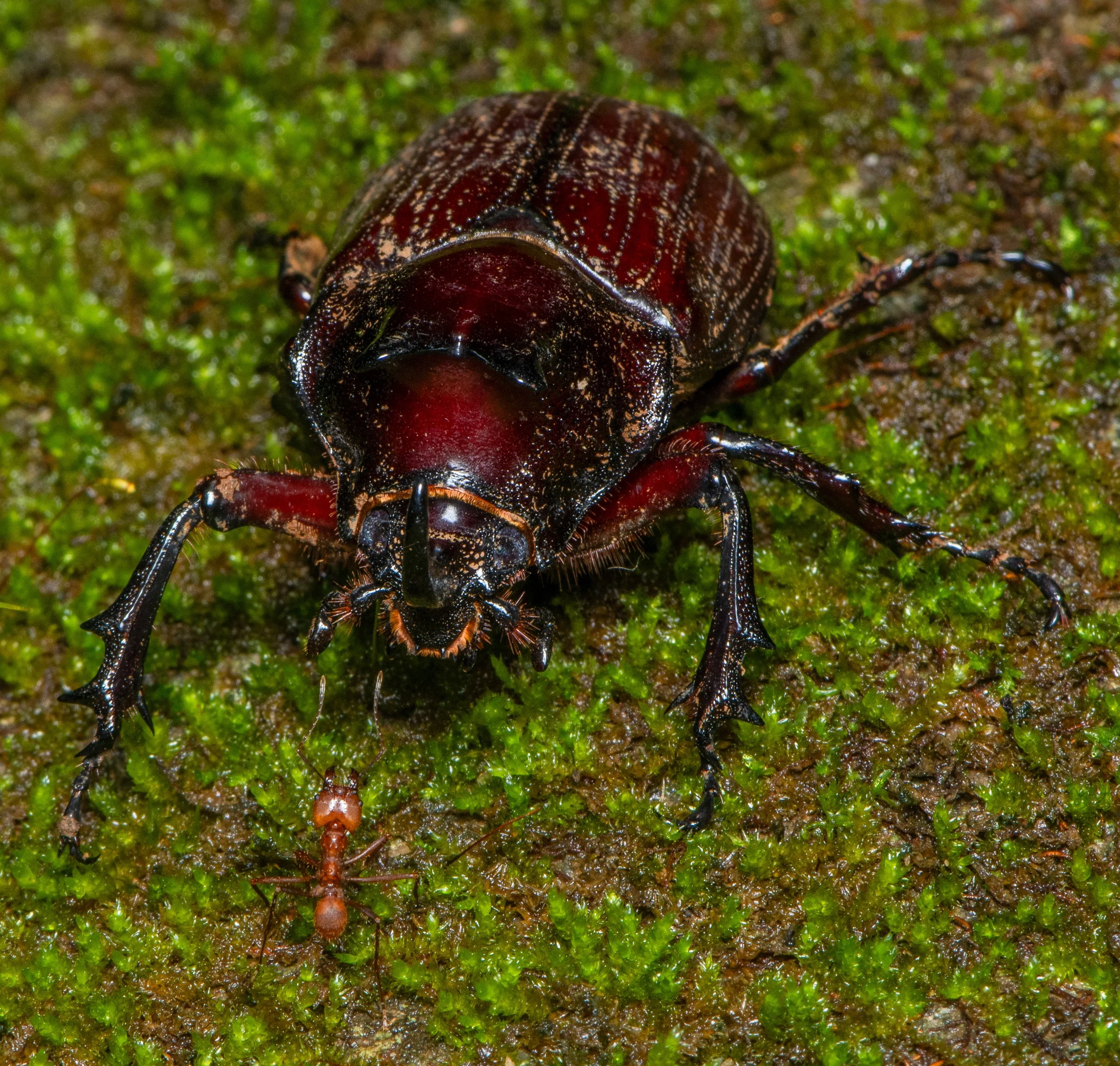 DSC_9273.jpg