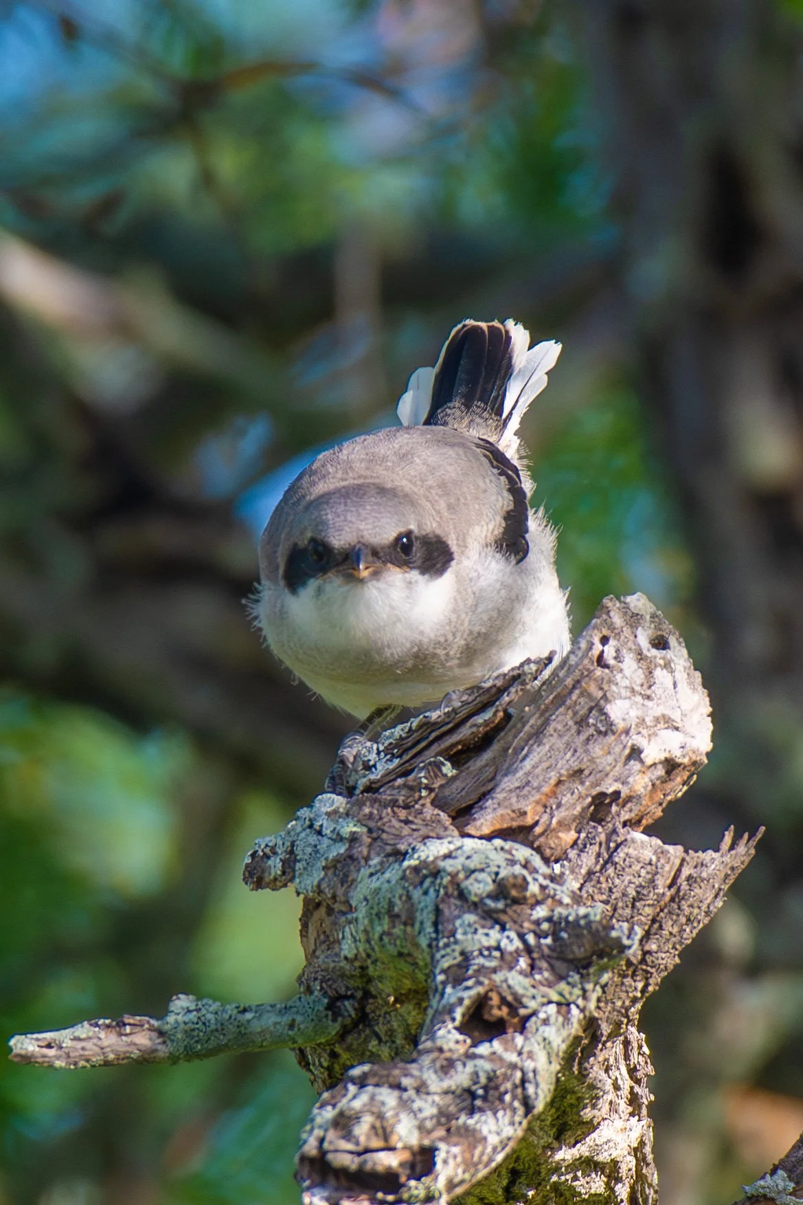 DSC_5050.jpg