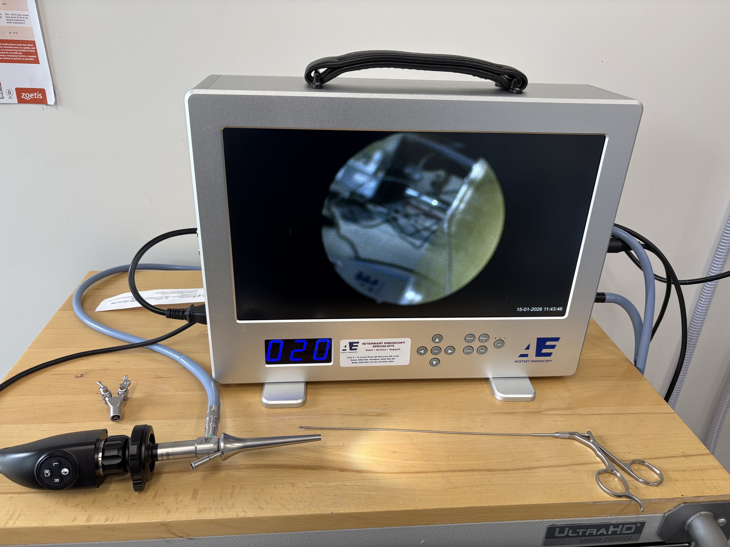 Video-otoscope and monitor.