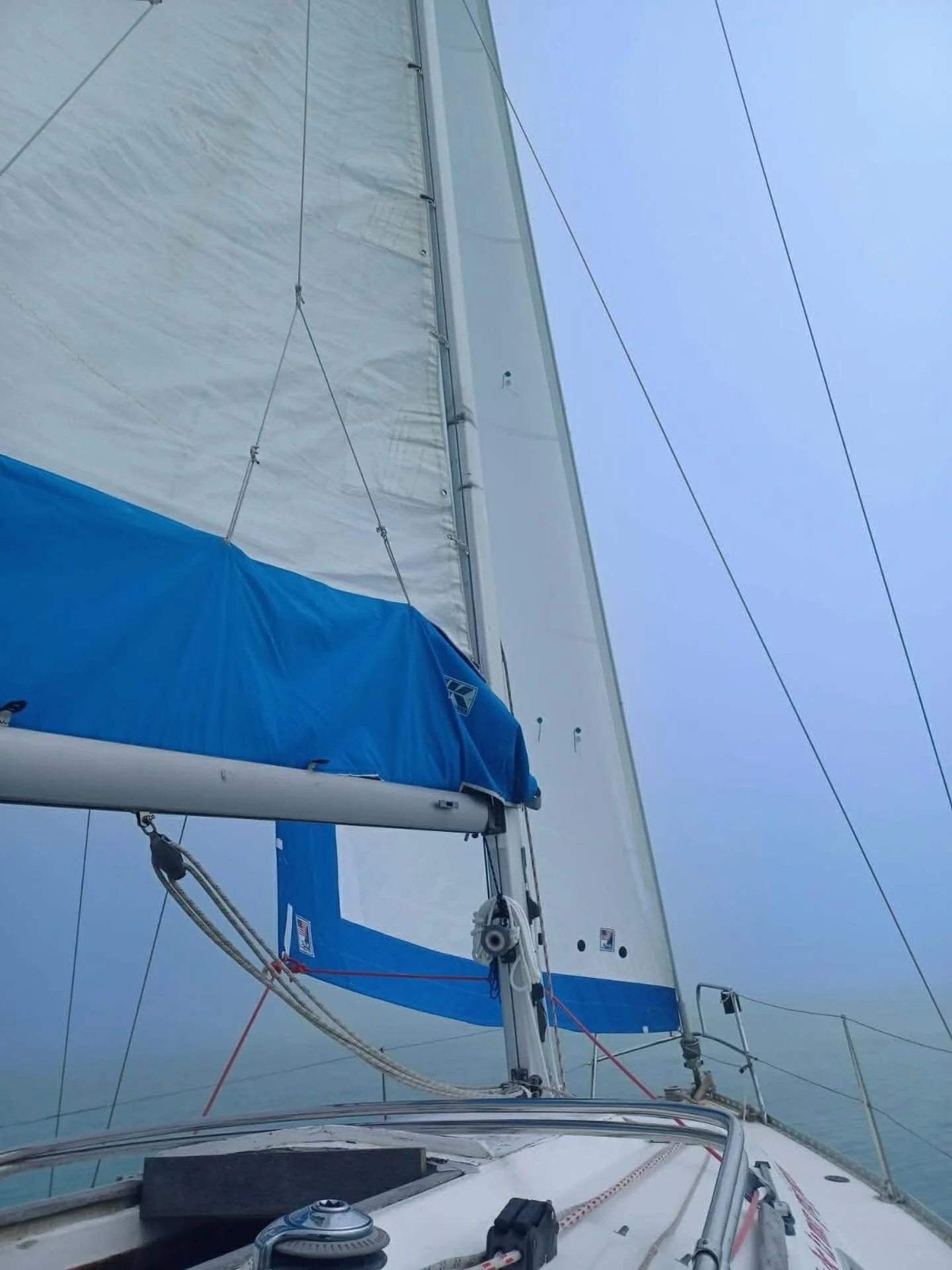 Just loving our new sail! 

@sailtechnologies 

#charteryacht #sailing #sea #sailinglife #sailboat