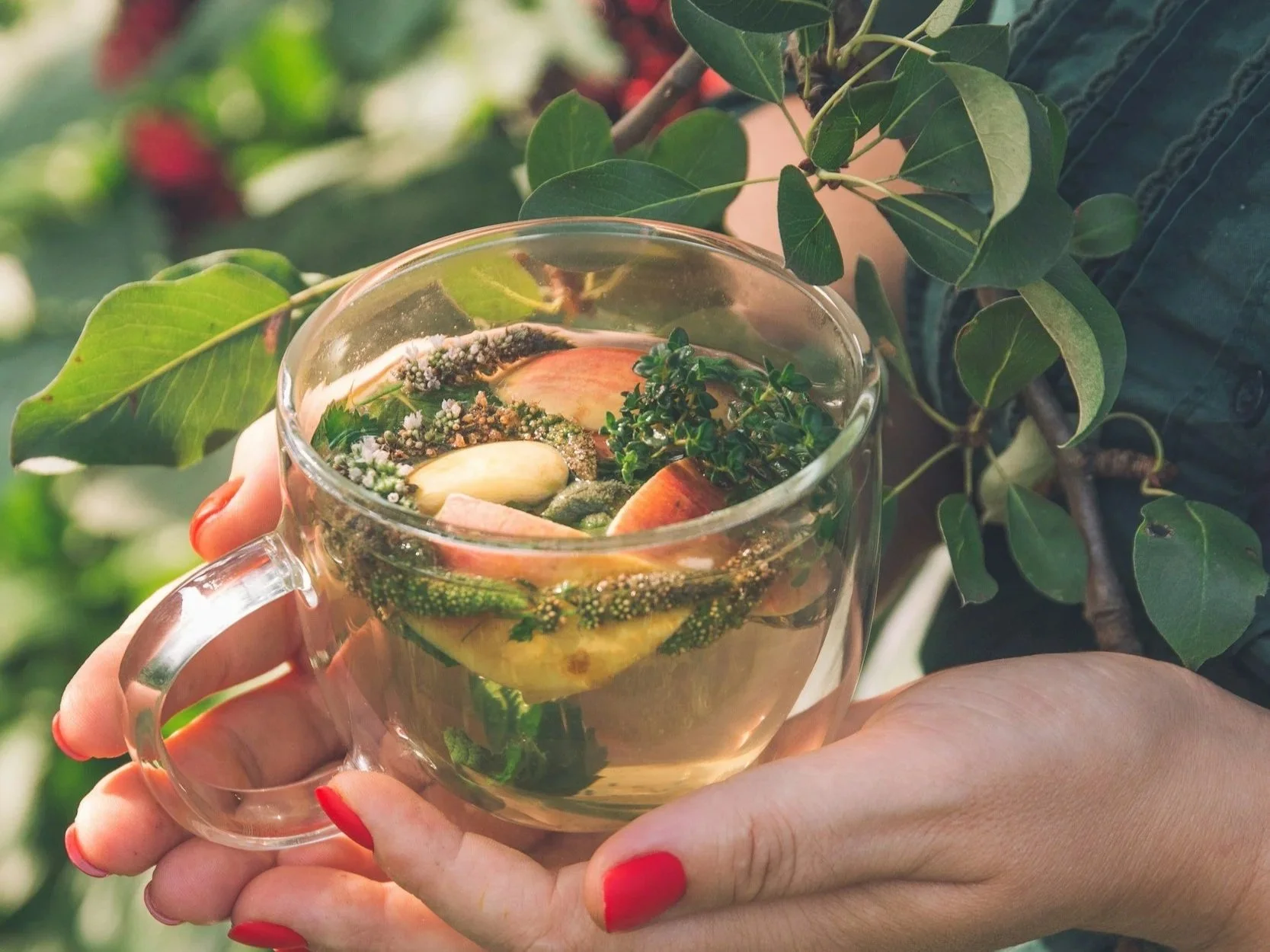 Introducing Our Herbalist-Guided Sauna Sessions