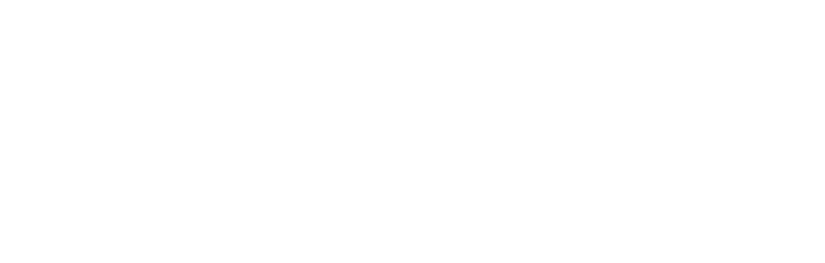 Ahi Mahi Sauna Nelson Tasman