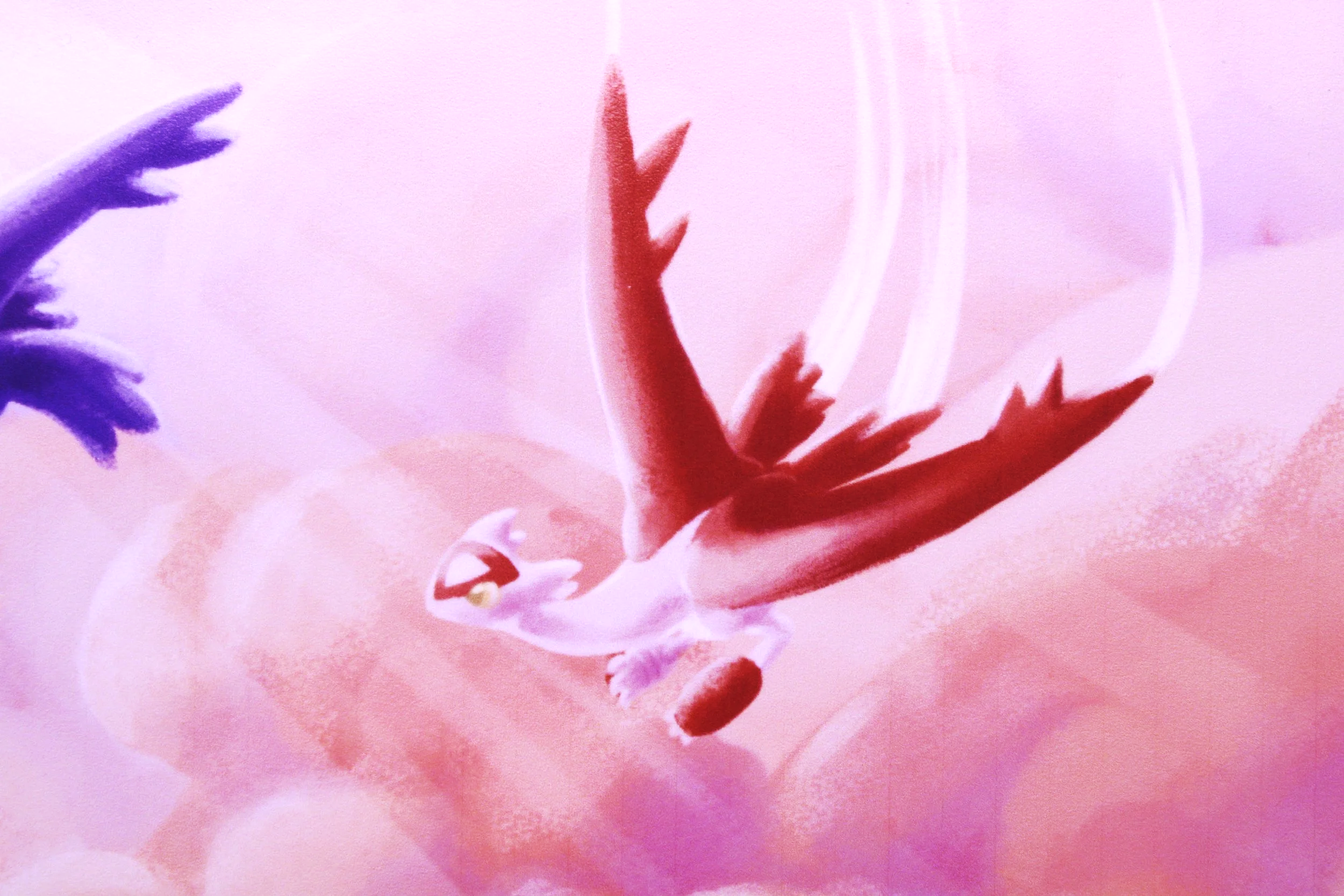 IMG_8018.png