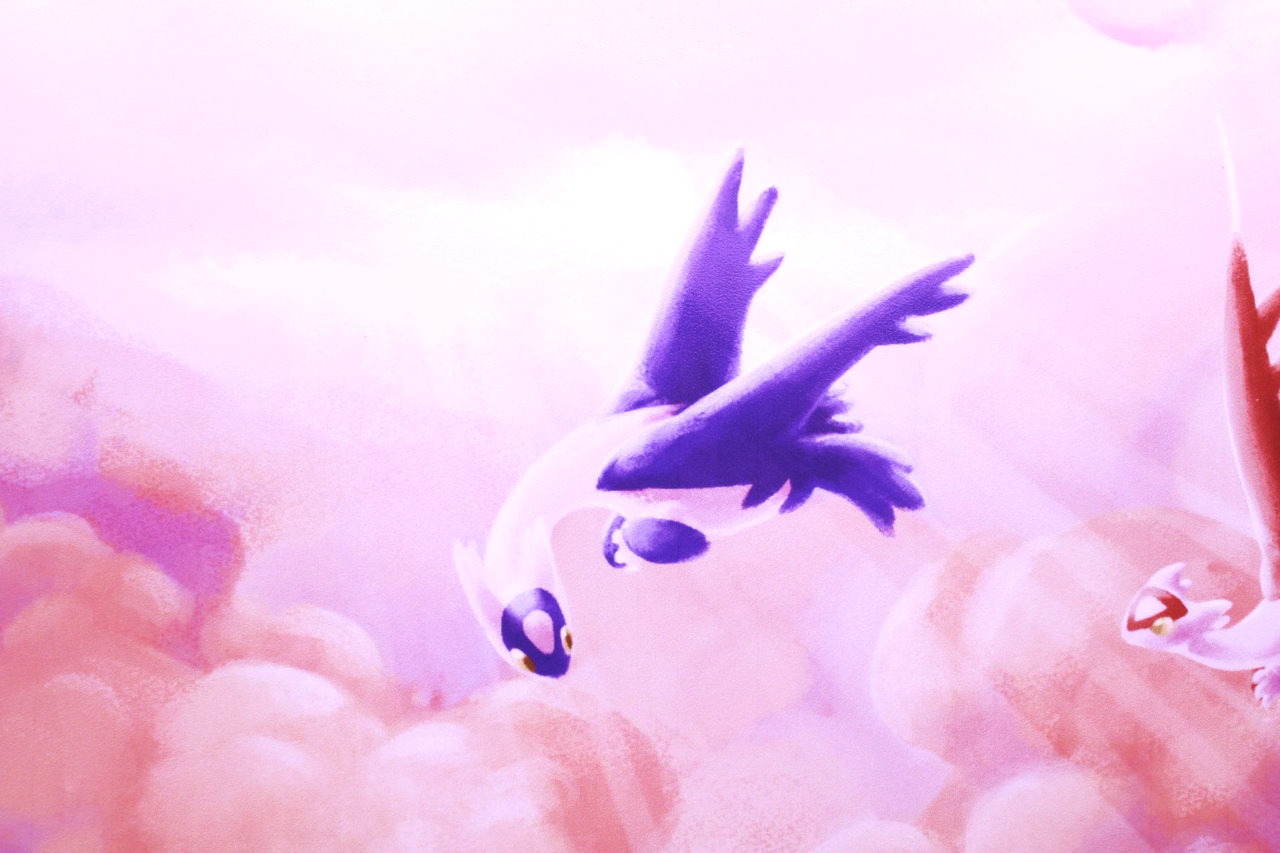IMG_8016.png