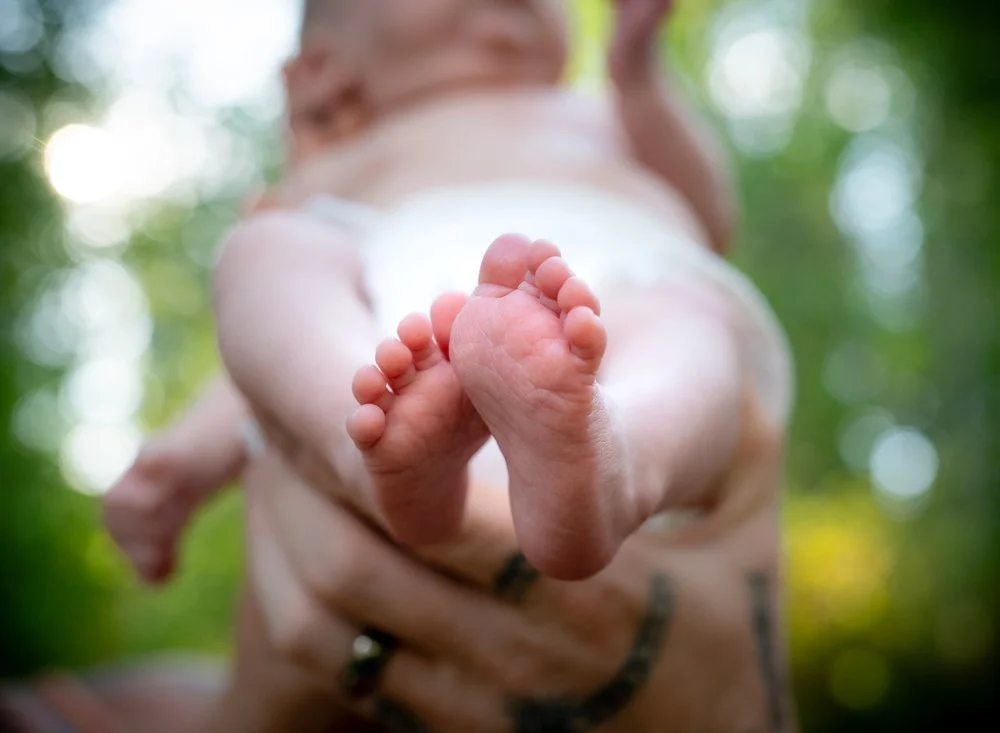 Canyon for website-1.jpg