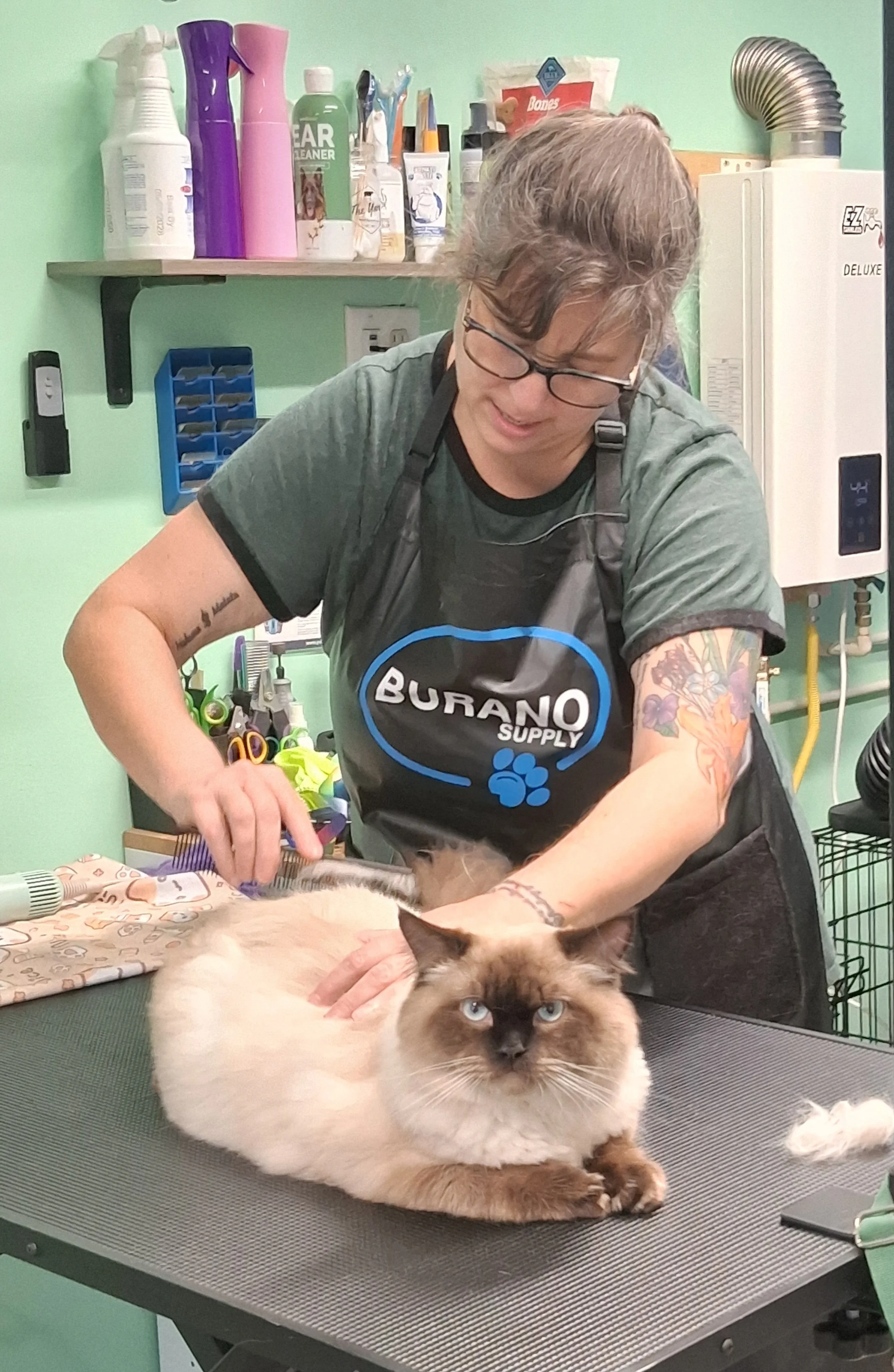 A woman grooming a Siamese cat on a grooming table in a pet grooming salon.