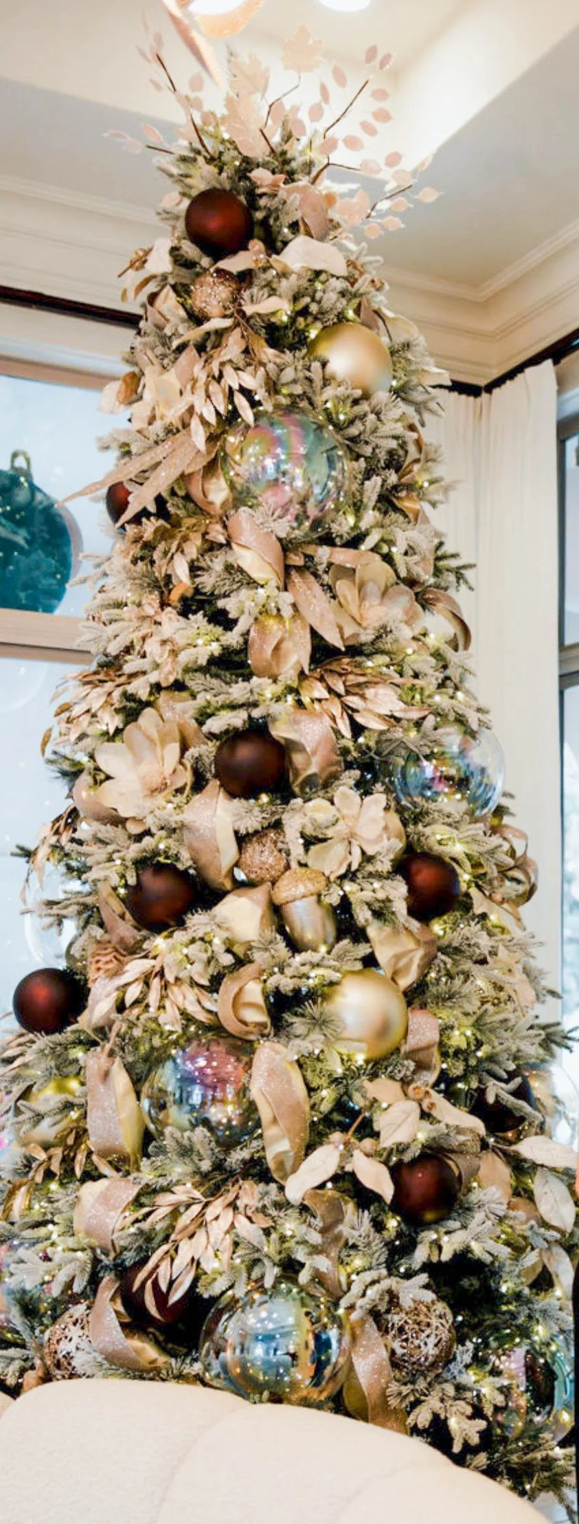 2025-09-24 14.55.41.jpg