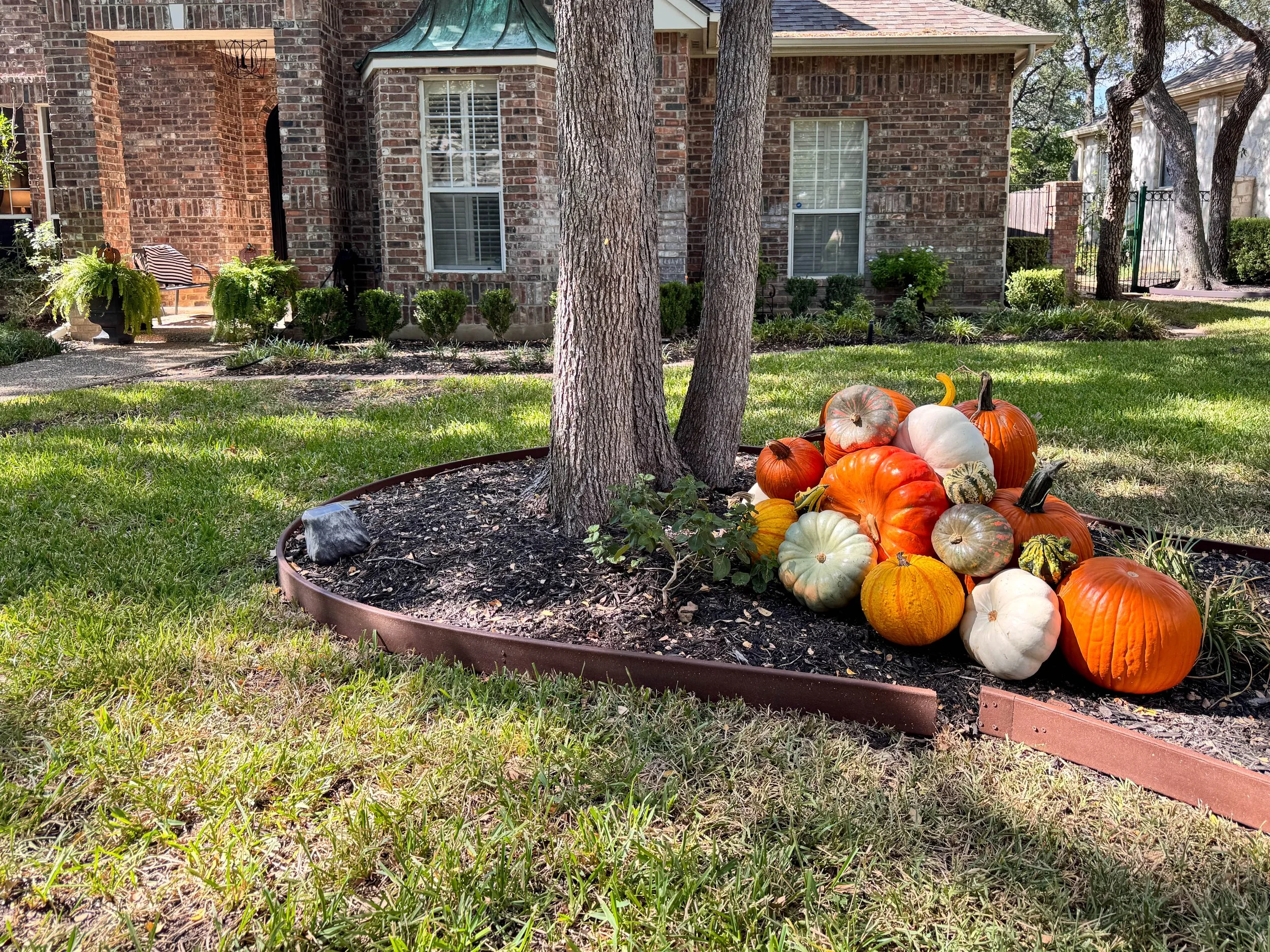 SA-Collective-Pumpkins-Residential-14.jpg